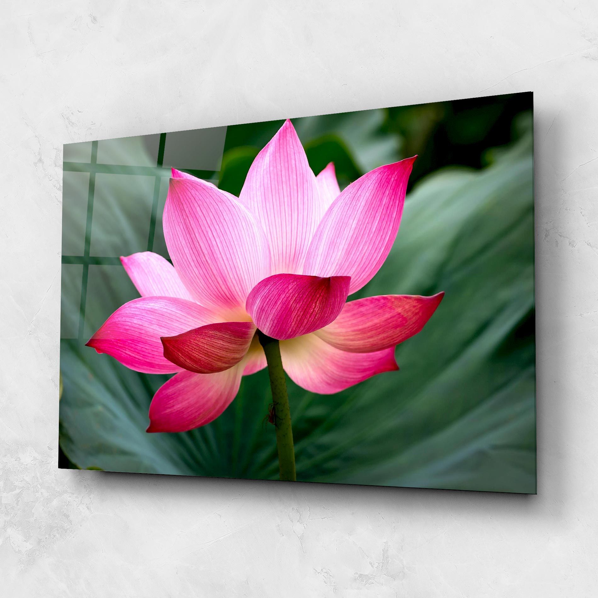 Beautiful Pink Exotic mockup 1