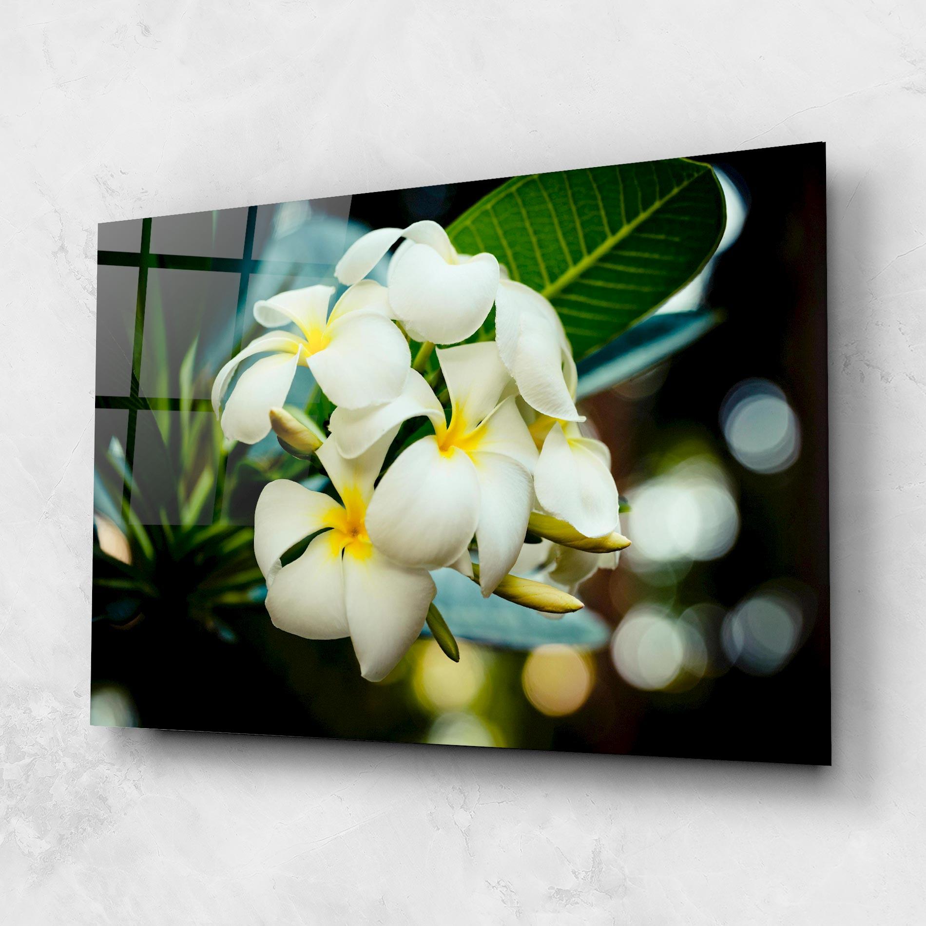 Glasbild Beautiful White Exotic mockup 1