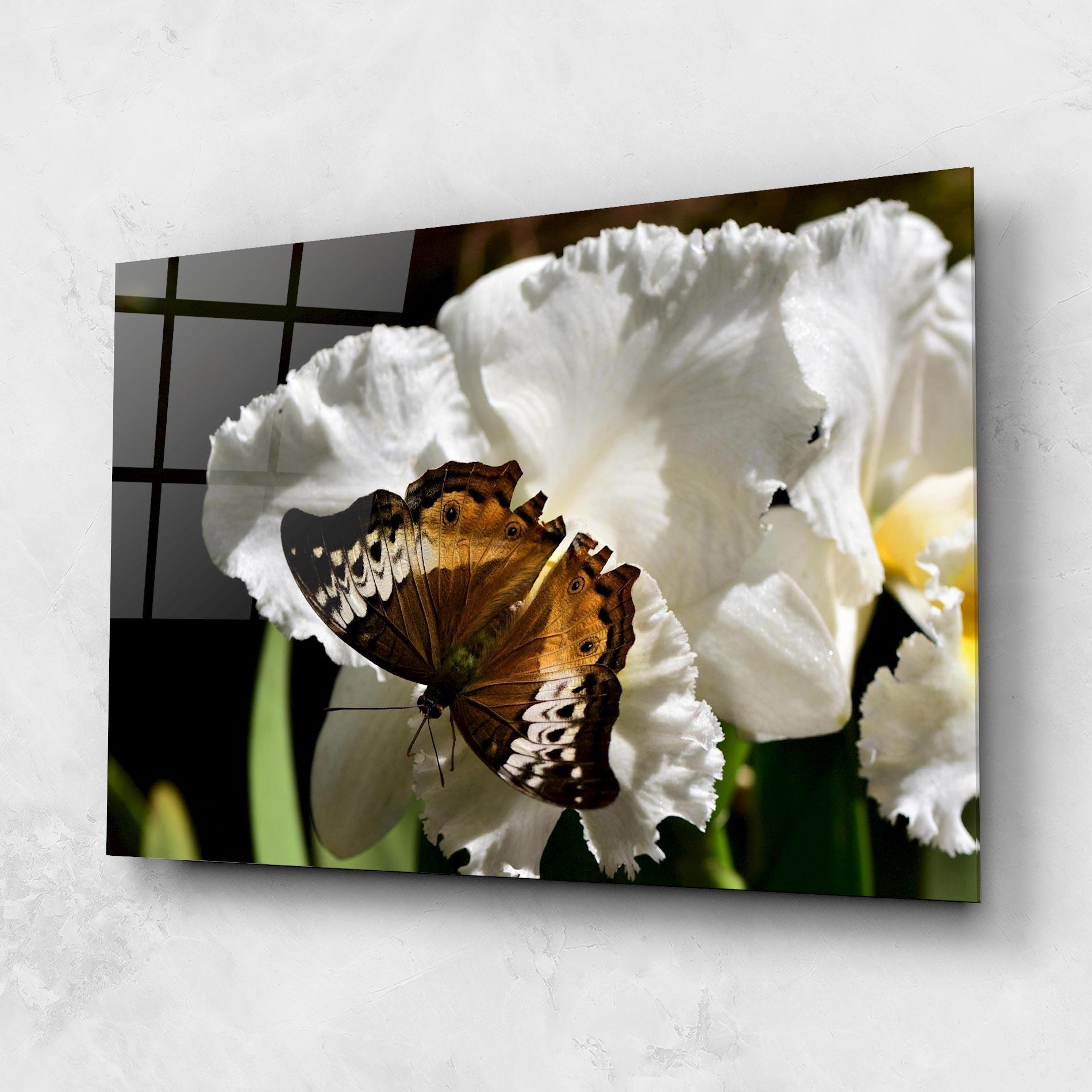 Glasbild Butterfly Exotic Plant mockup 1