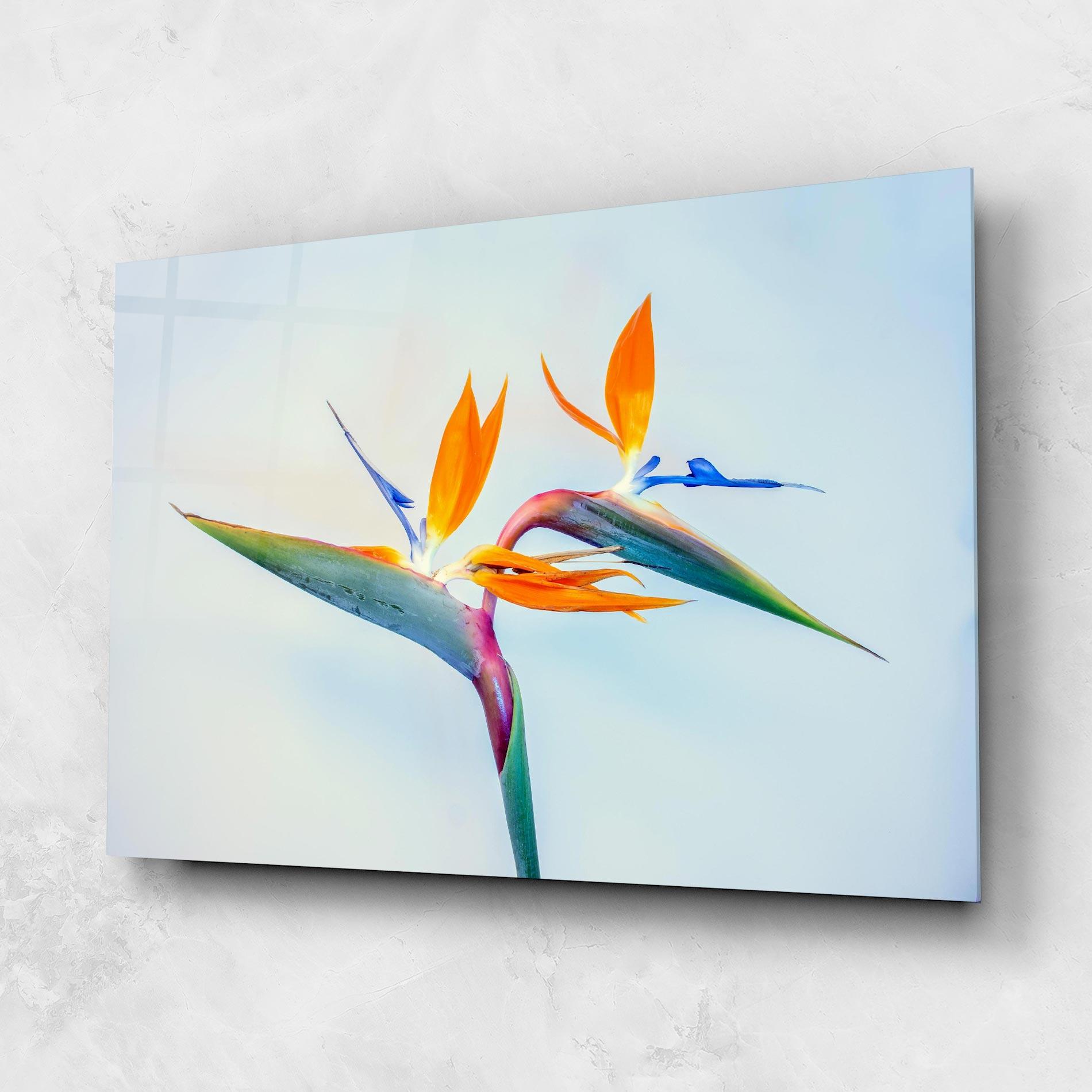 Glasbild Green Orange Exotic mockup 1
