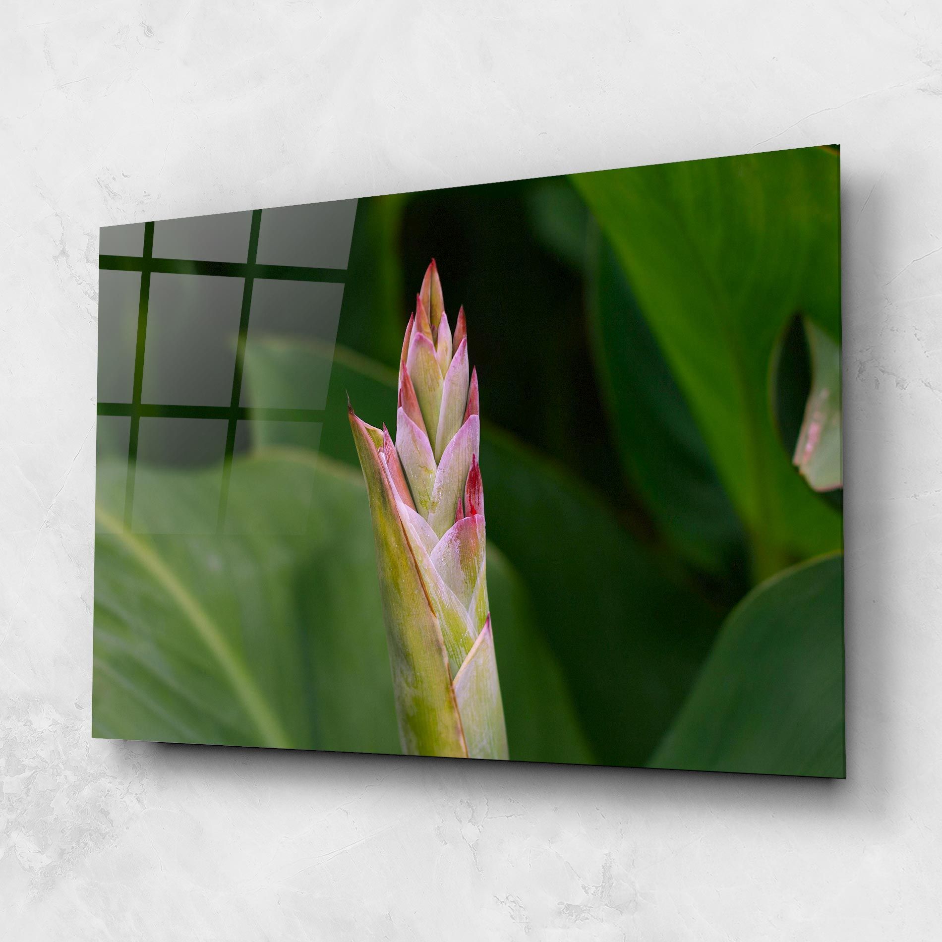 Light Pink Exotic mockup 1