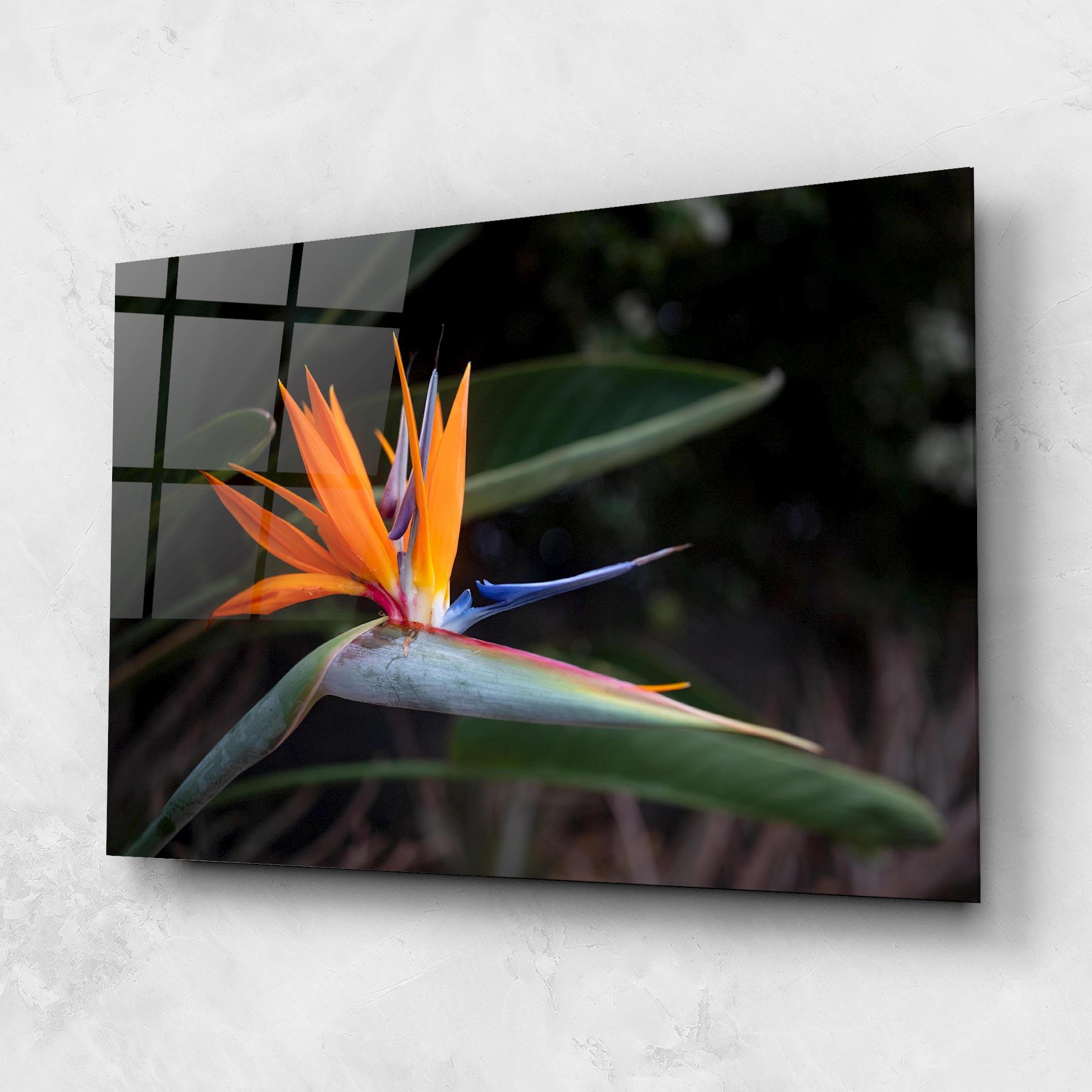 Glasbild Paradise Plant mockup 1