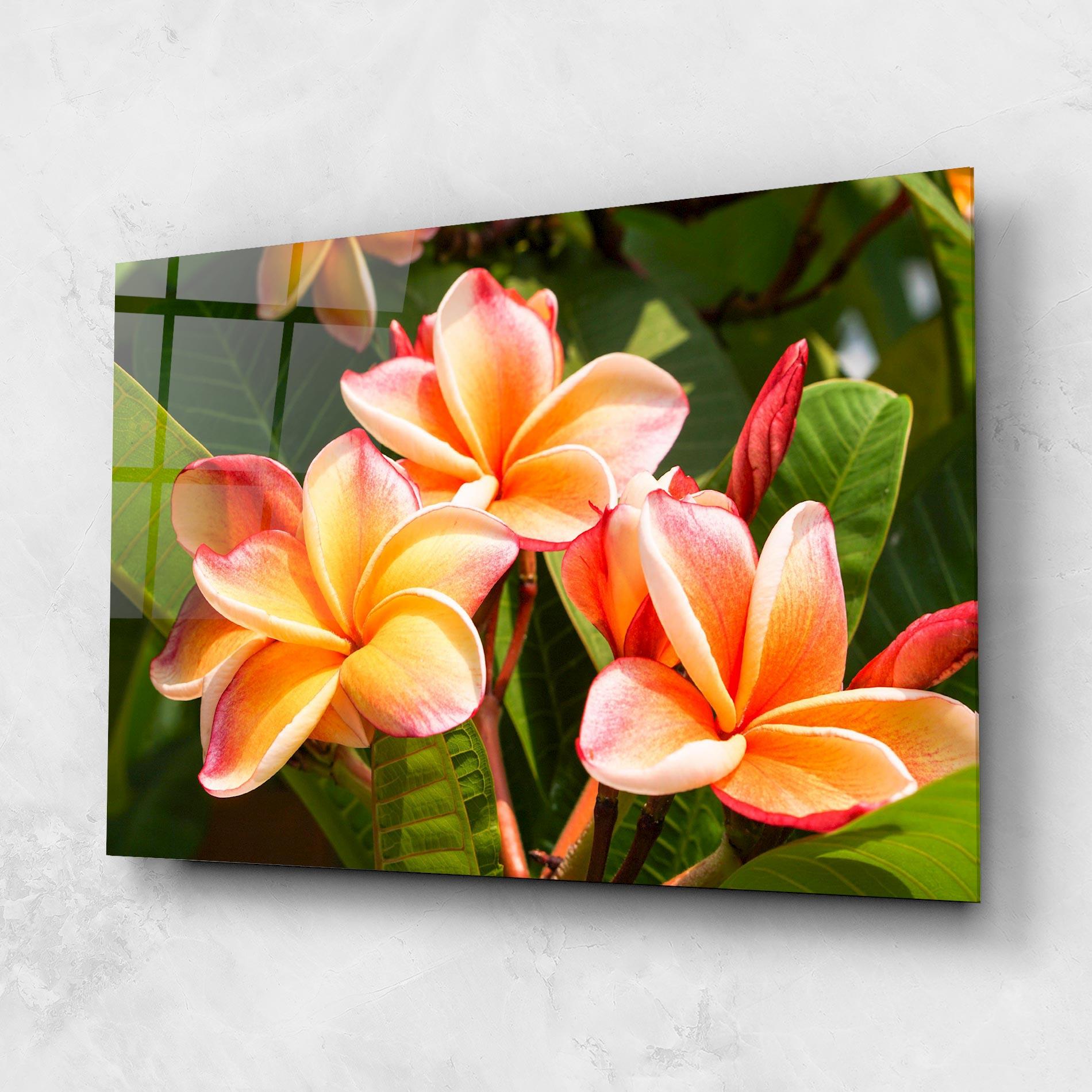 Glasbild Pretty Plumeria mockup 1