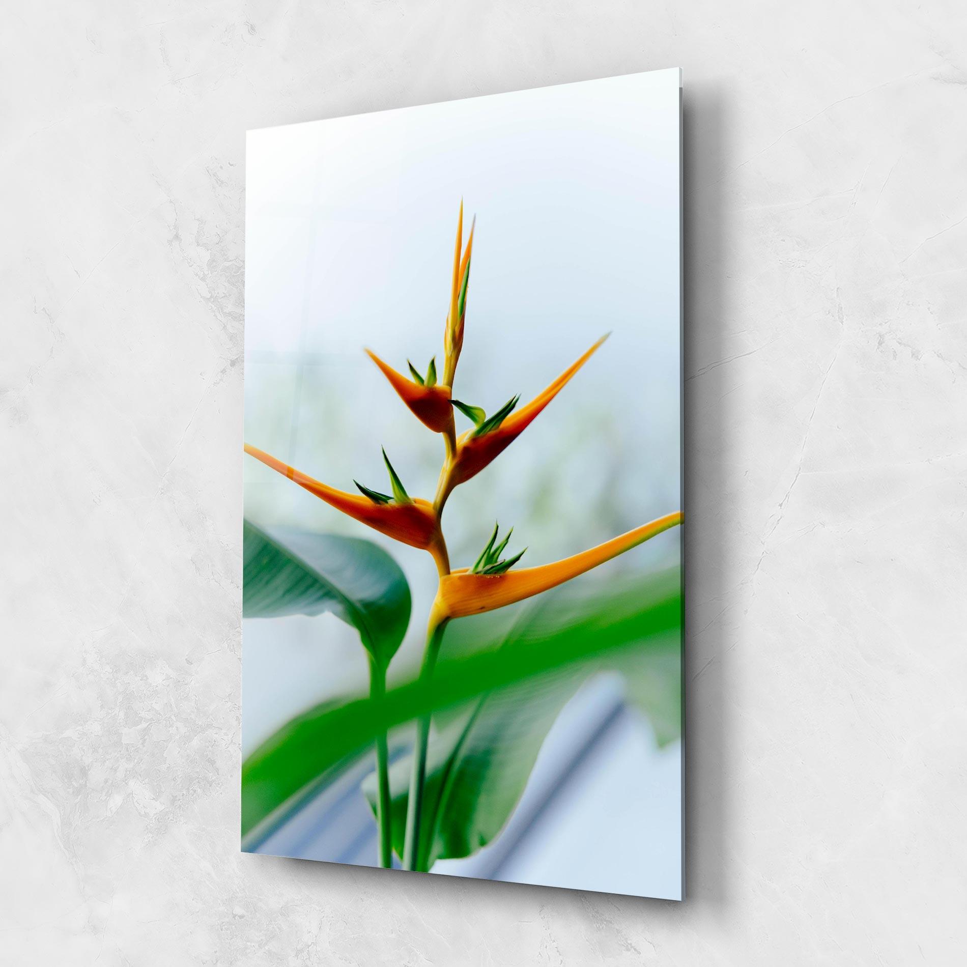 Glasbild Exotic Orange Green mockup 1