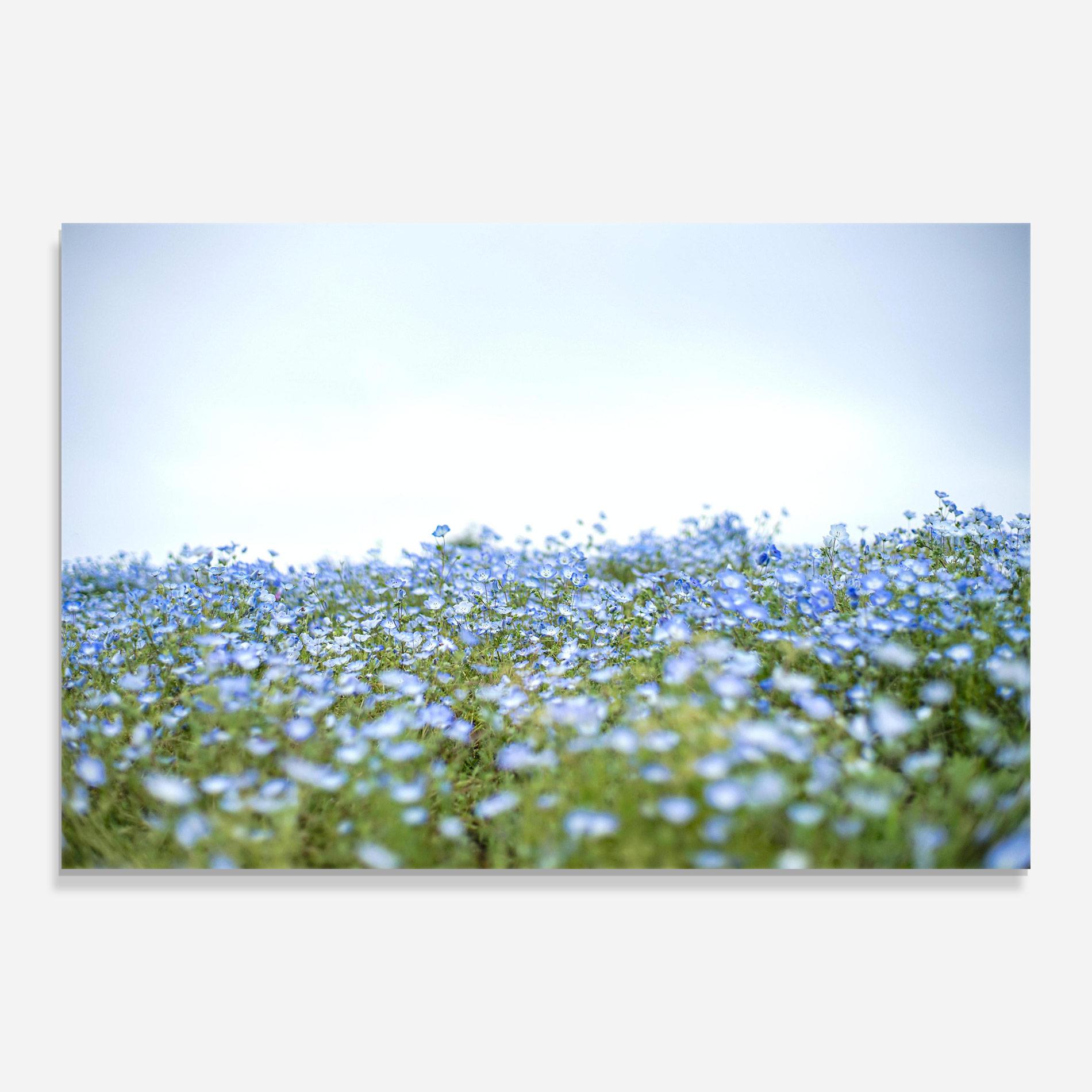 Glasbild Blue Wild Flowers mockup 0