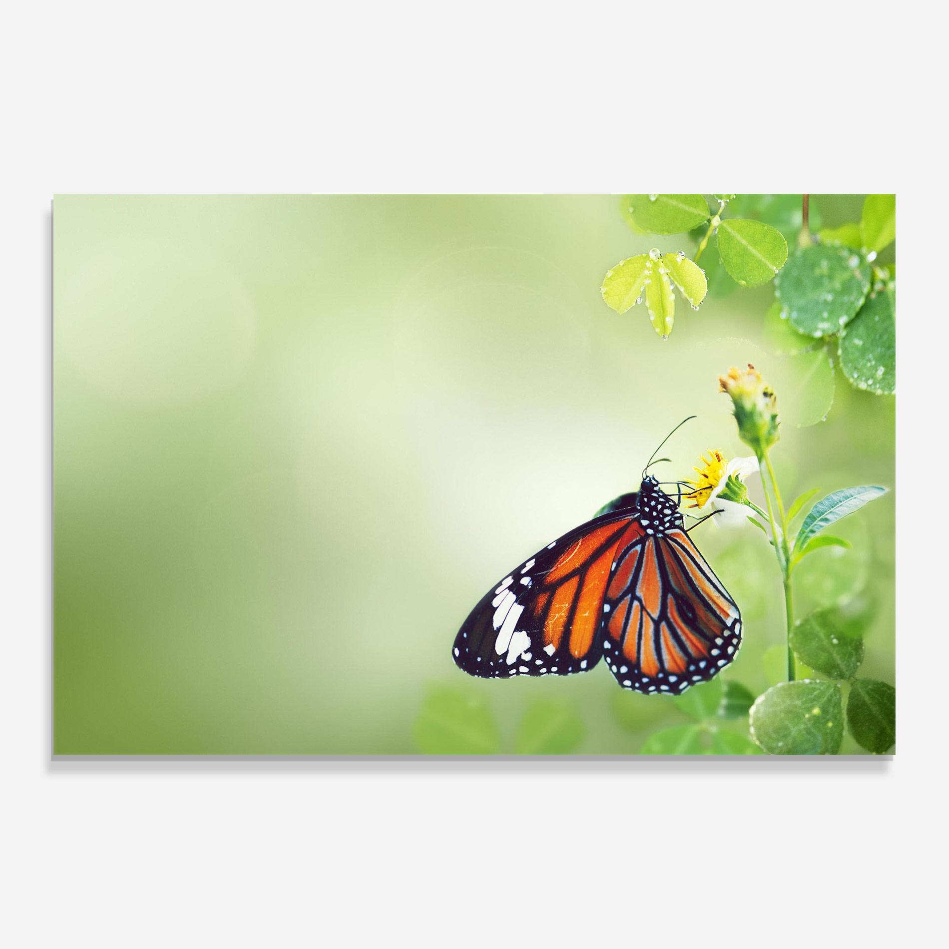 Glasbild Butterfly Wild Plant mockup 0