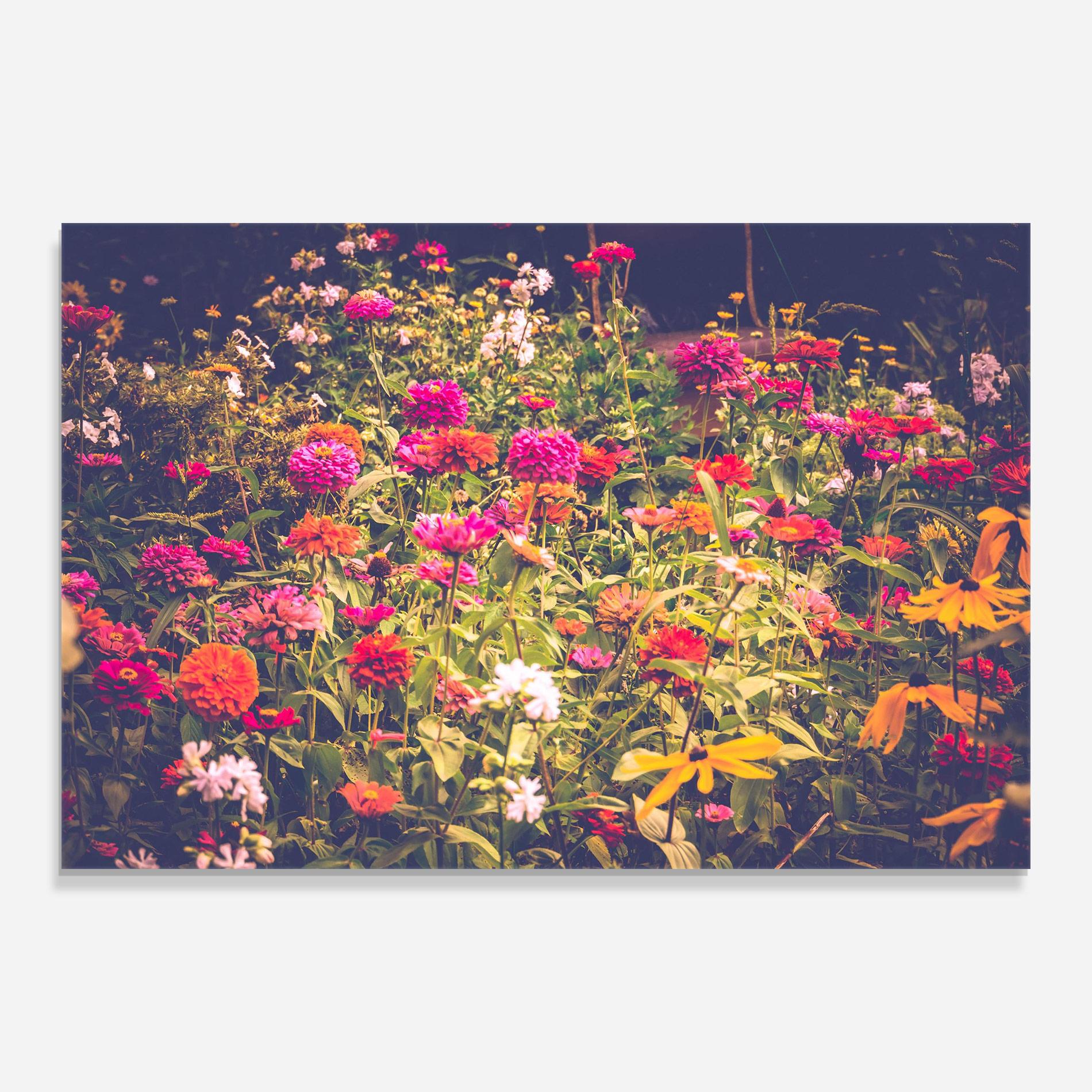 Glasbild Colorful Wild Field mockup 0