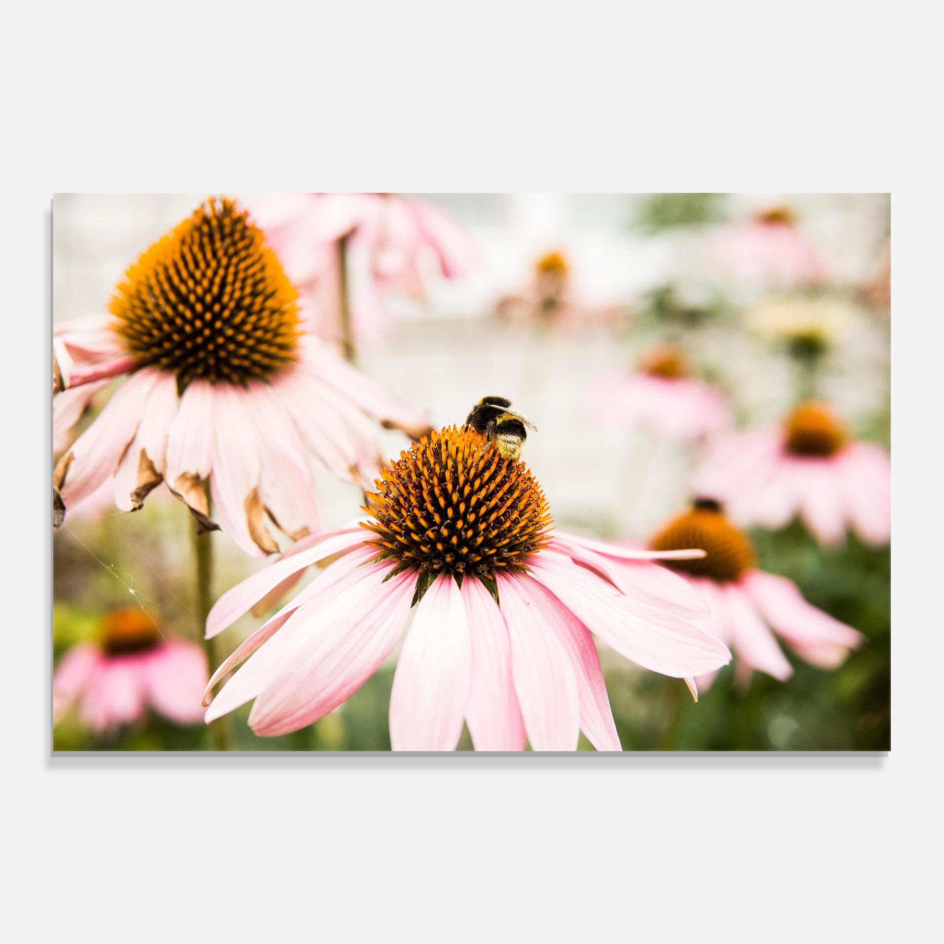 Glasbild Daylight Flower mockup 0