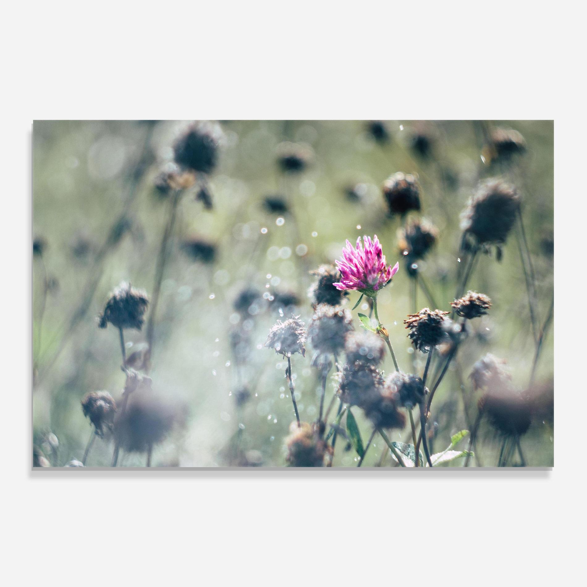 Glasbild Dreamy Purple Flower mockup 0
