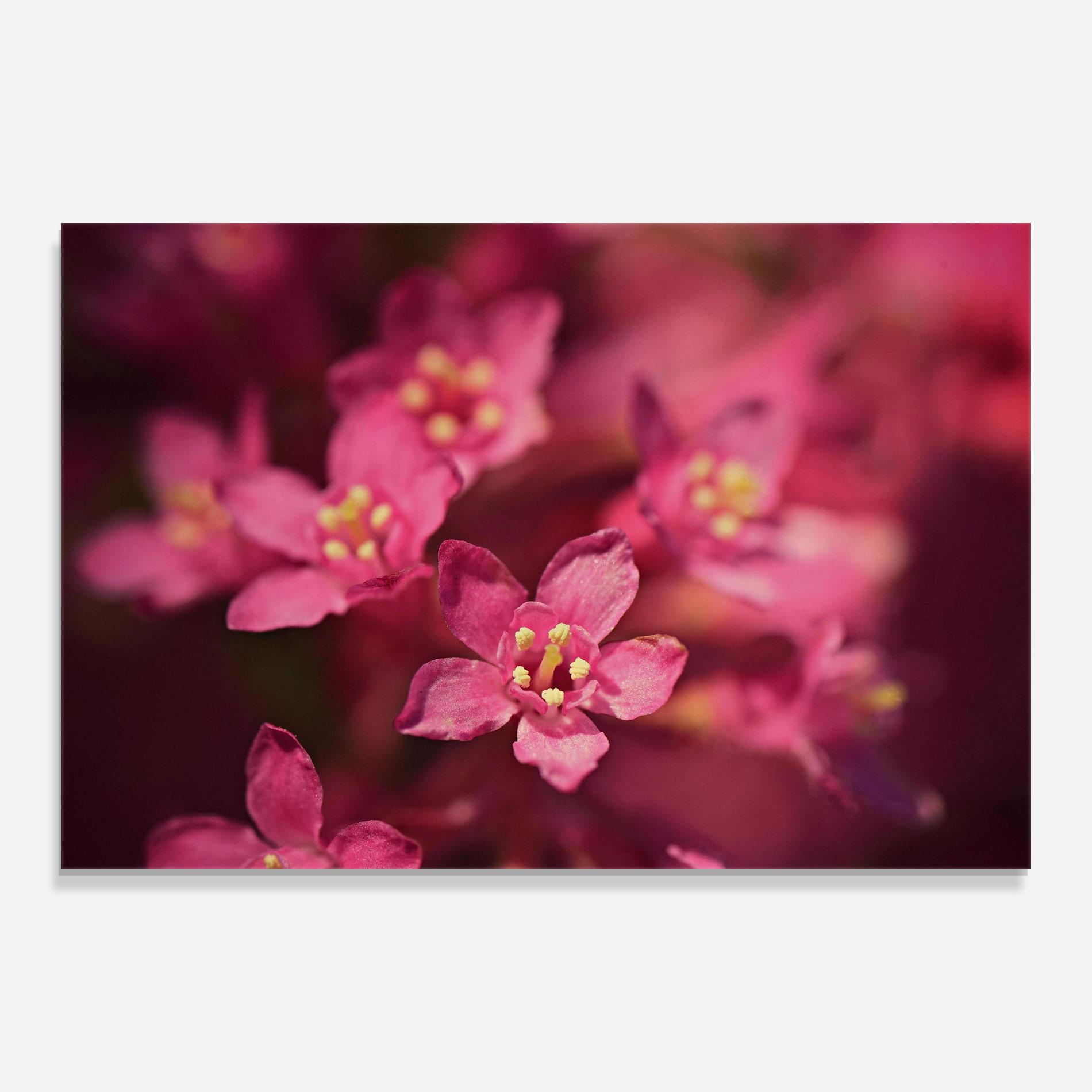 Glasbild Flower Background mockup 0