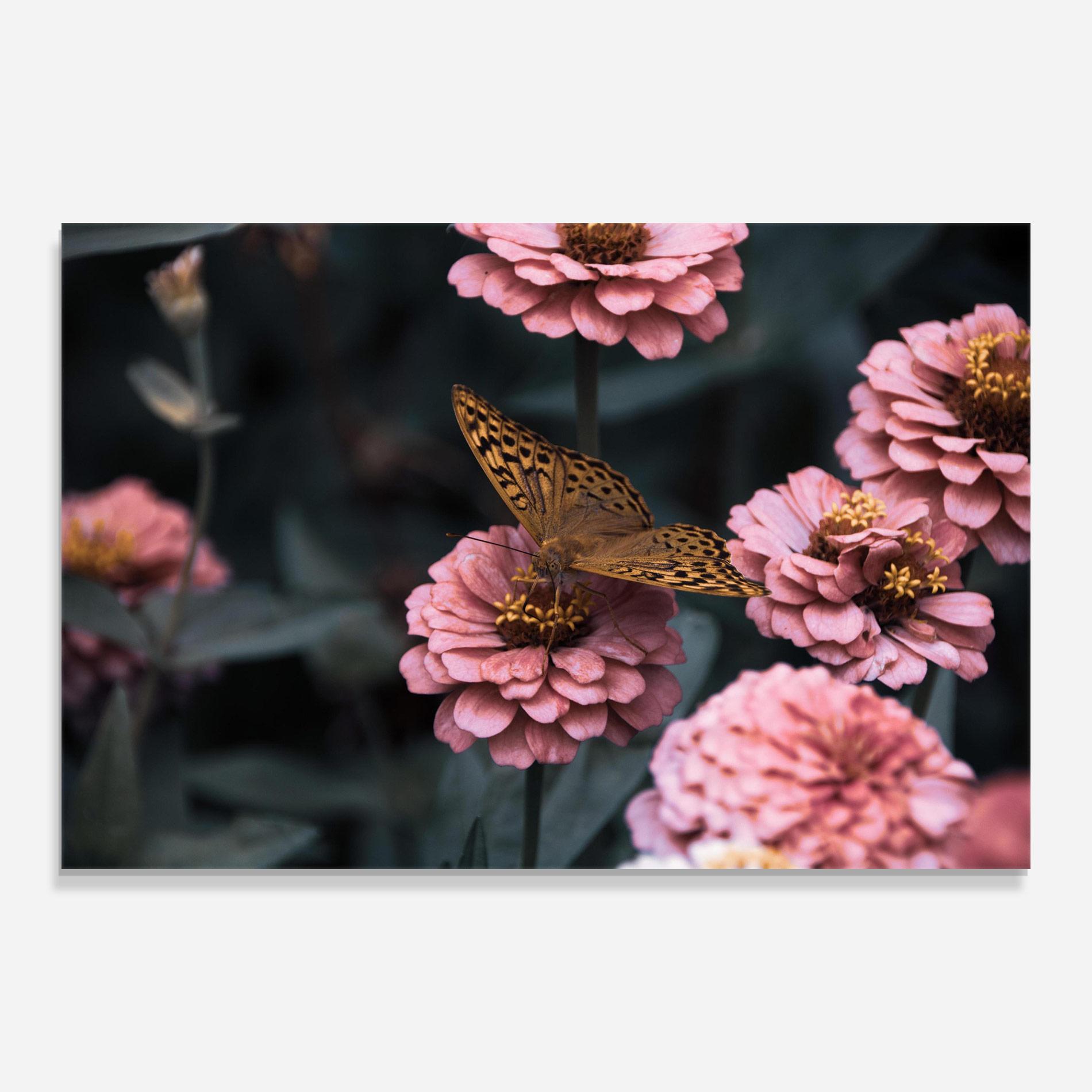 Glasbild Flower Butterfly mockup 0