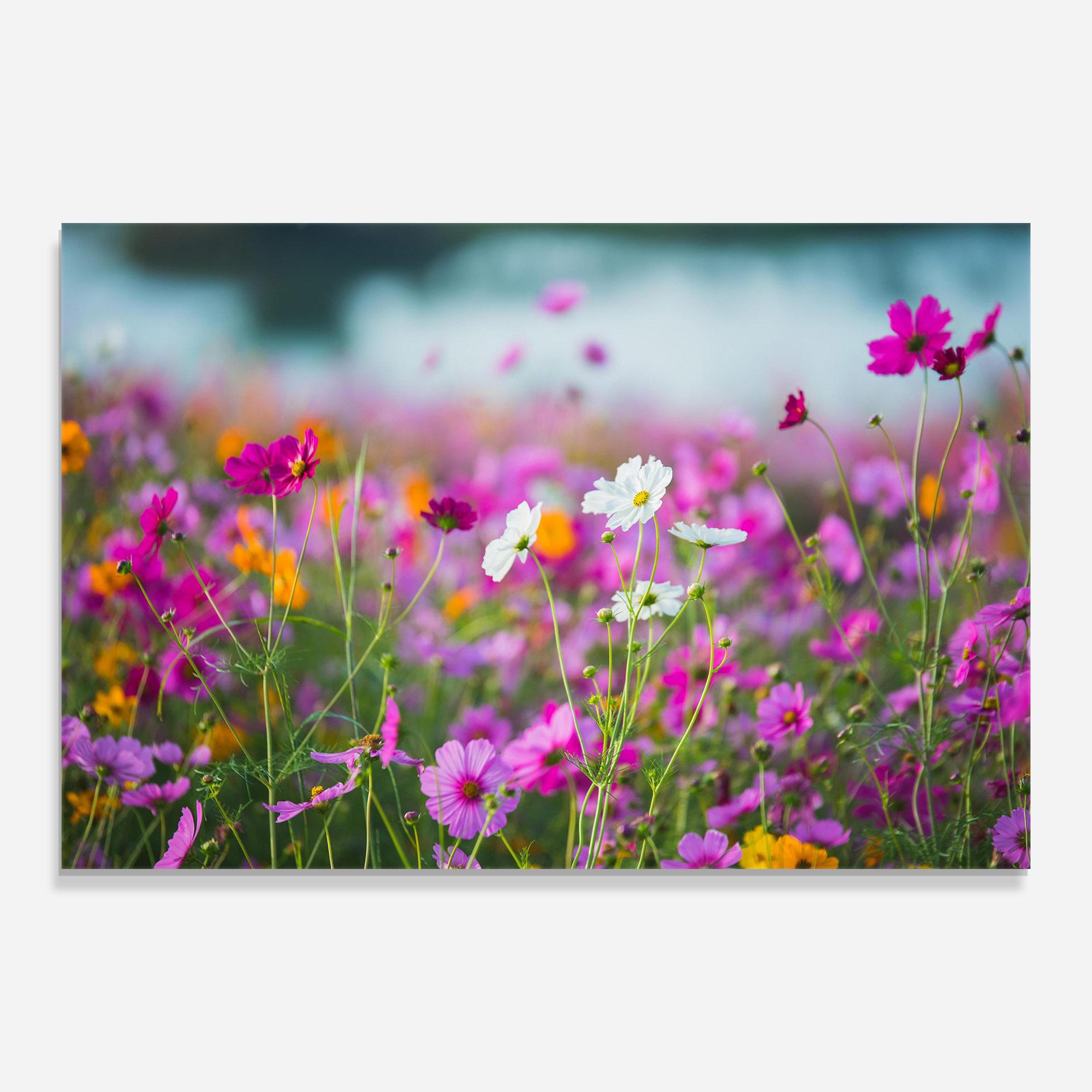 Glasbild Flower Grassland mockup 0