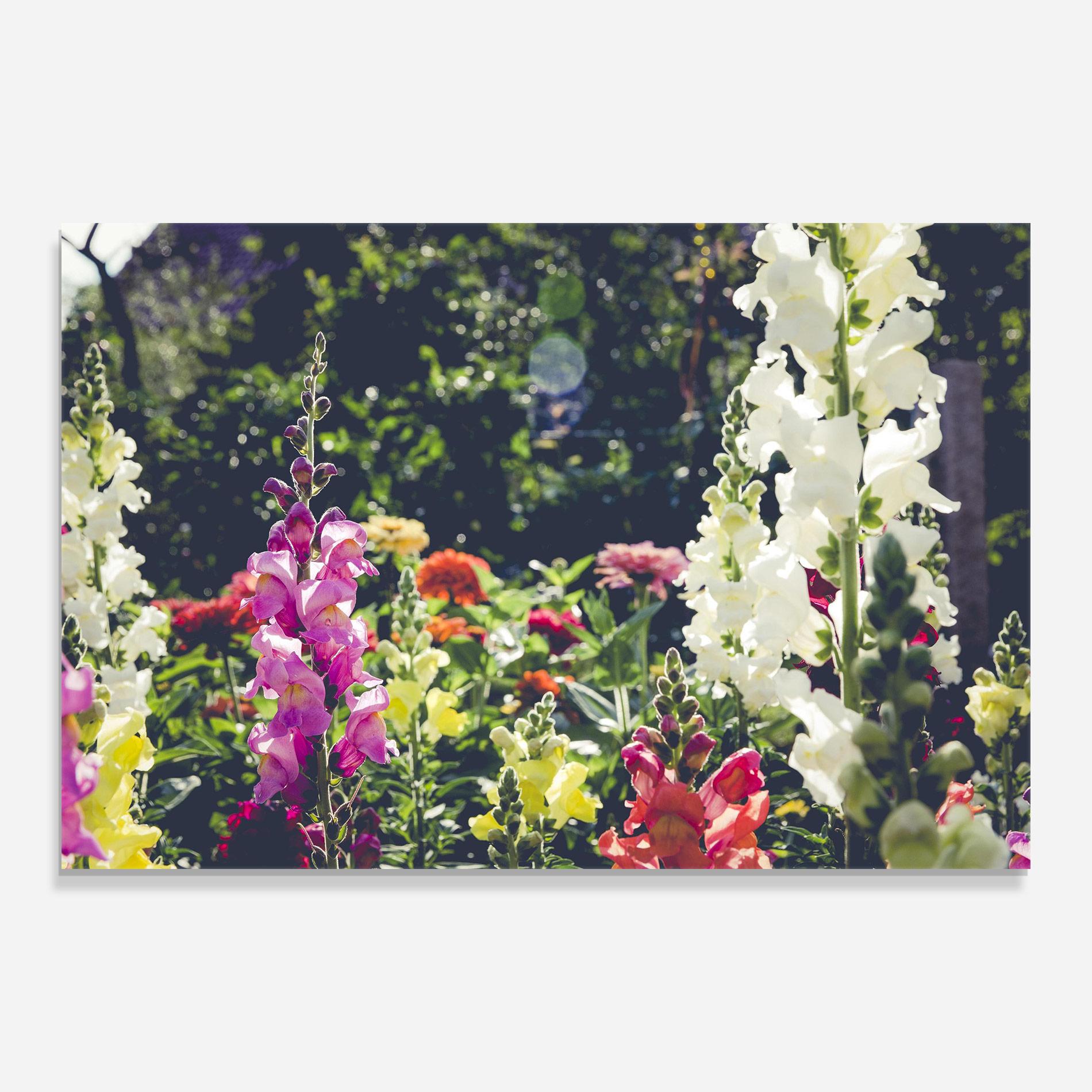 Glasbild Garden Pretty Flowers mockup 0