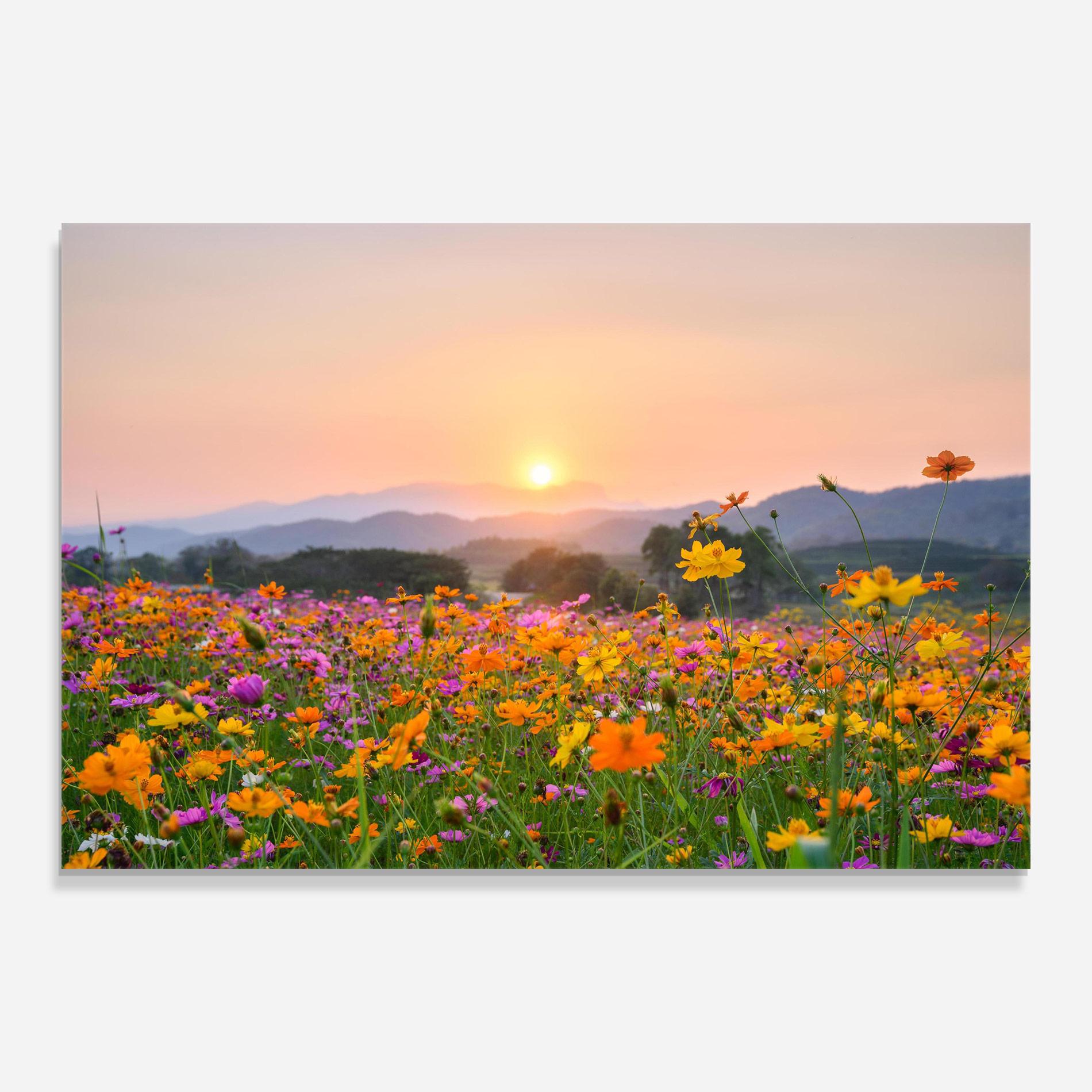 Glasbild Sunset Mountain Flowerf mockup 0