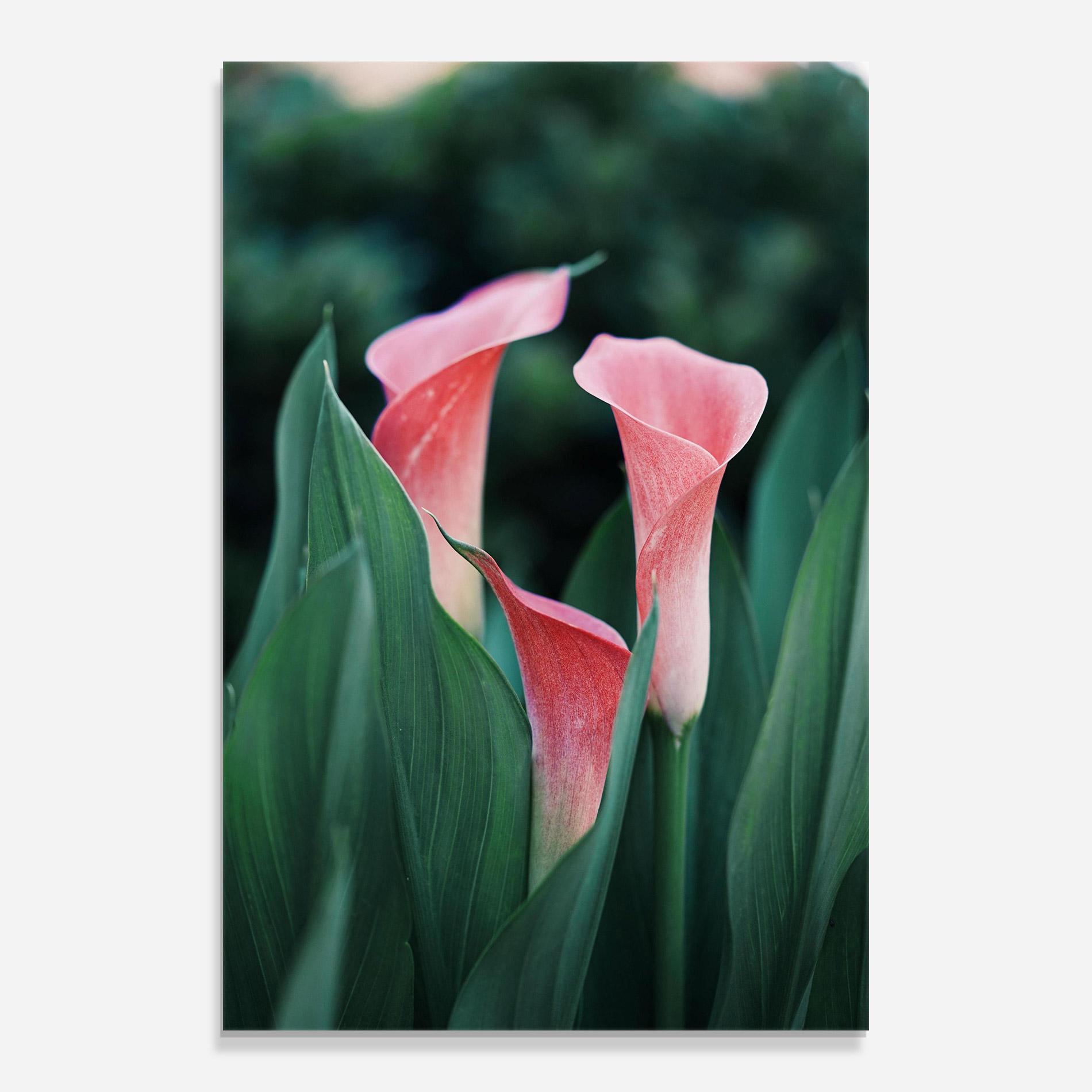 Glasbild Early Spring mockup 0