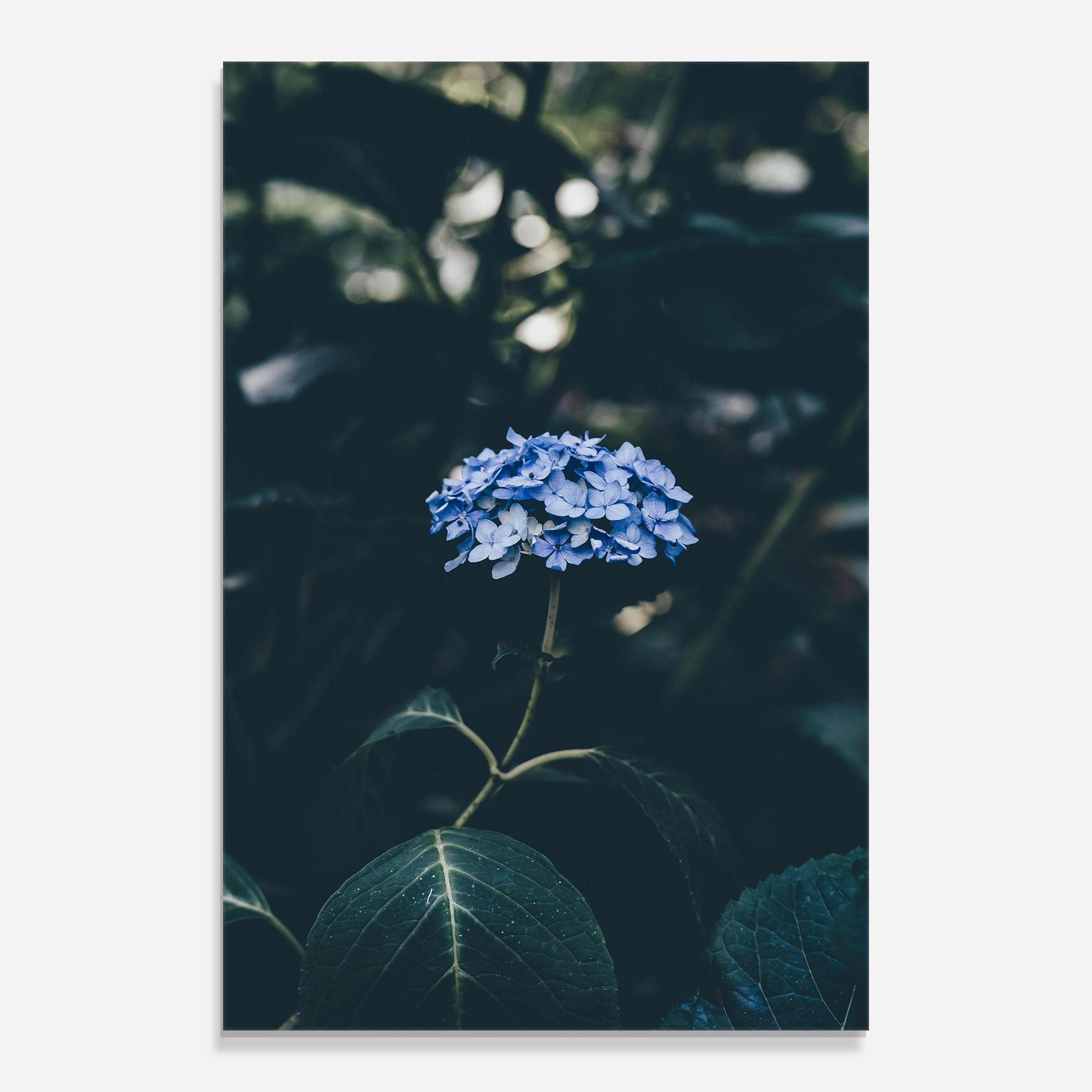 Glasbild Forest Blue Flower mockup 0