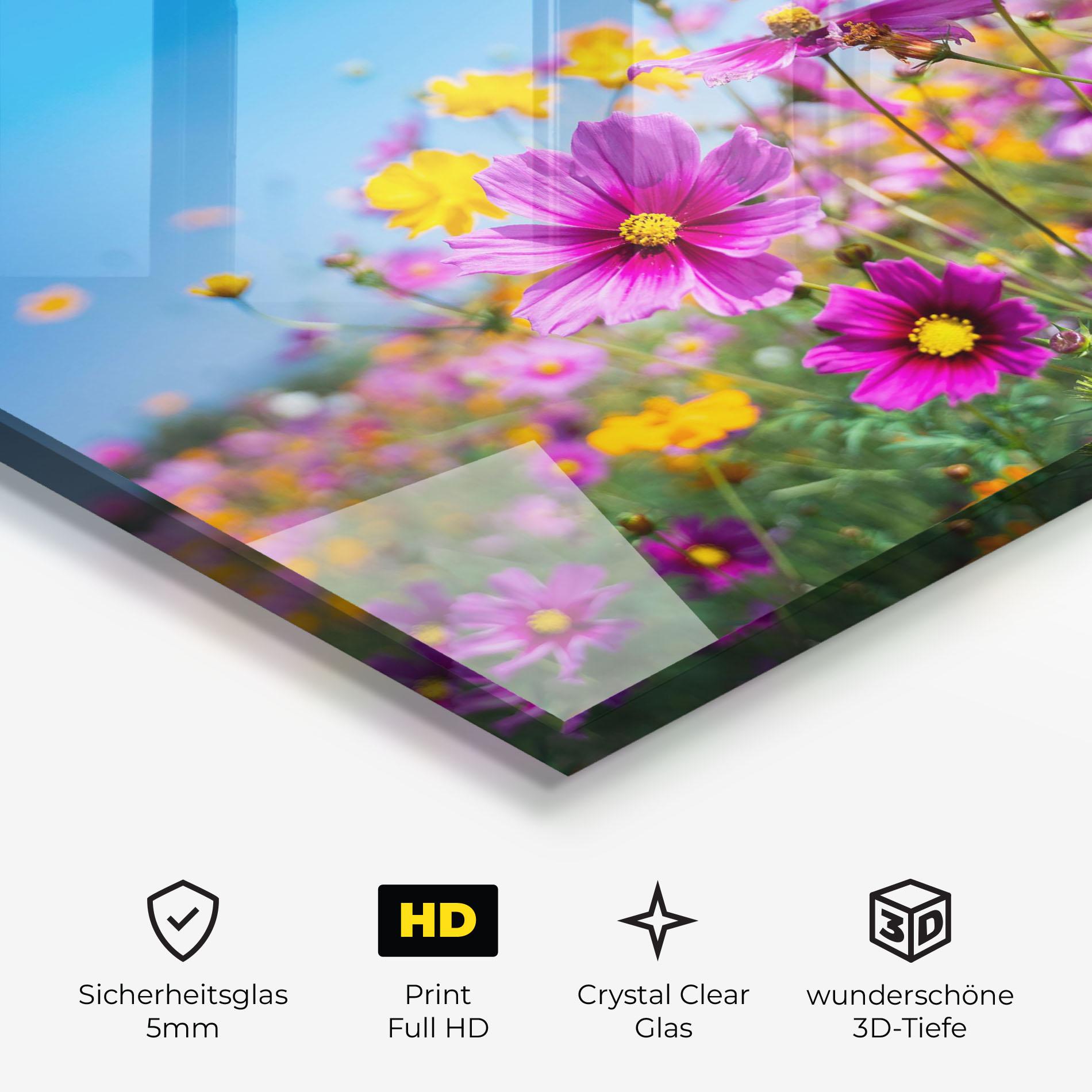 Glasbild Cosmos Flowers Grassland mockup 3