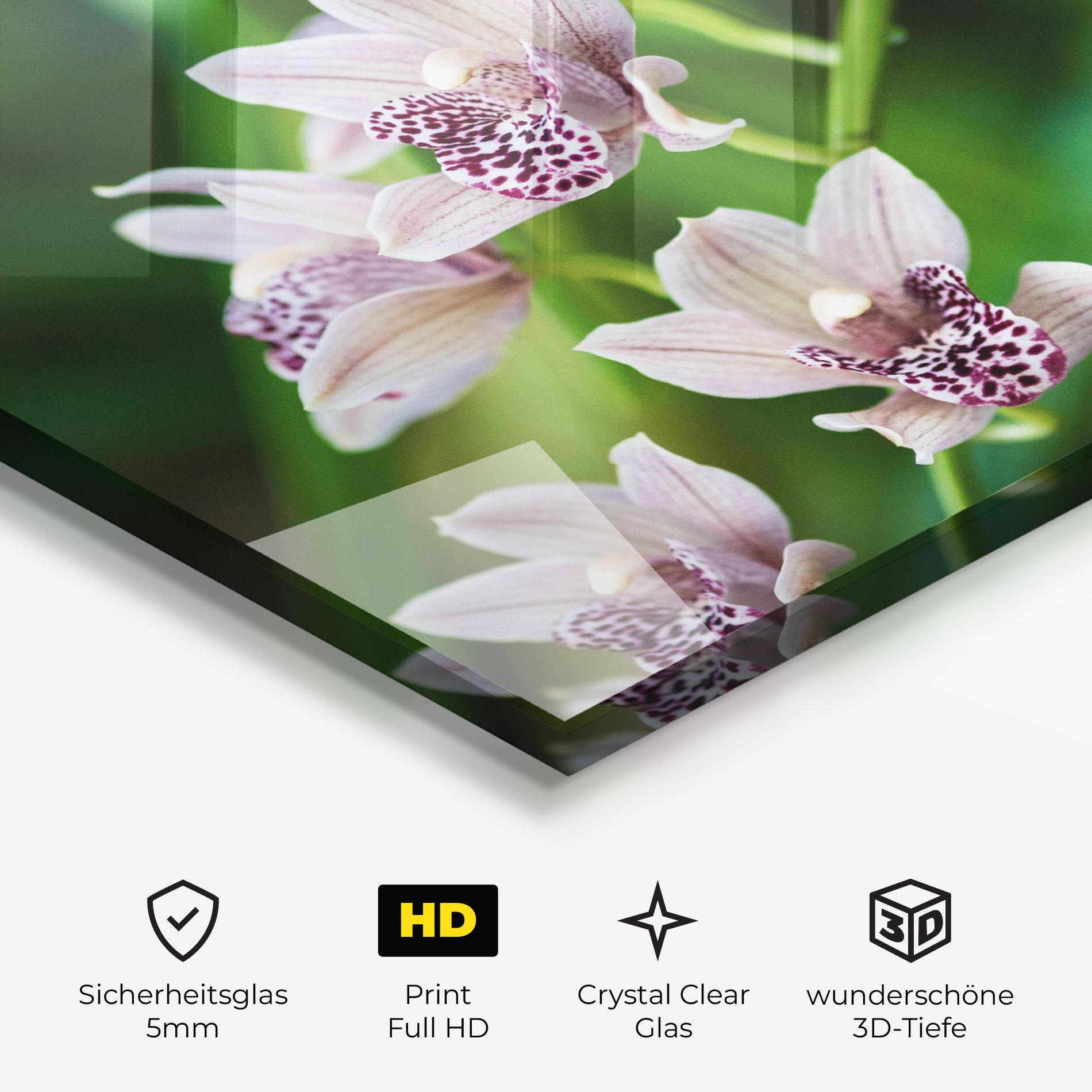 Glasbild Cymbidium Orchid mockup 3