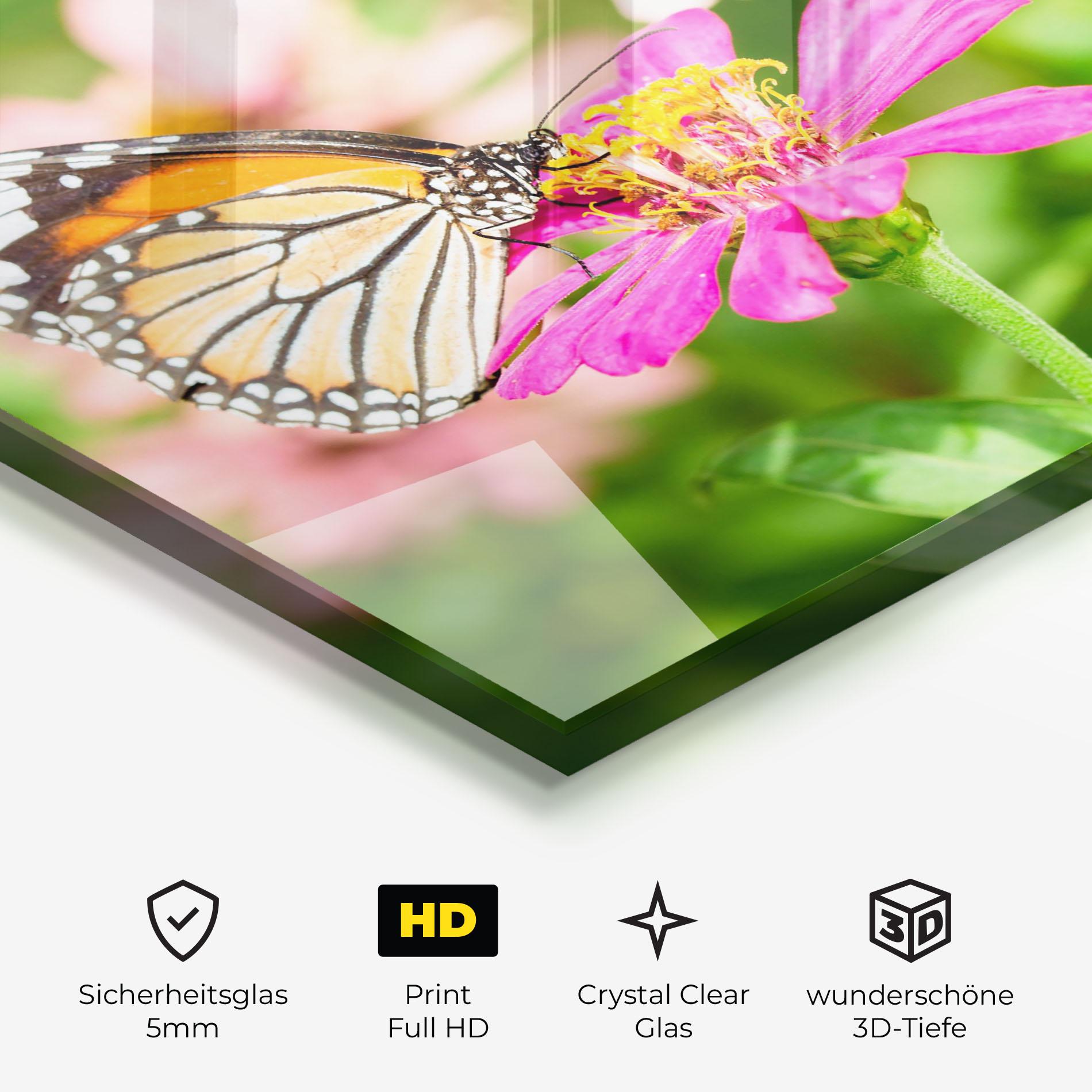 Glasbild Daylight Butterfly mockup 3