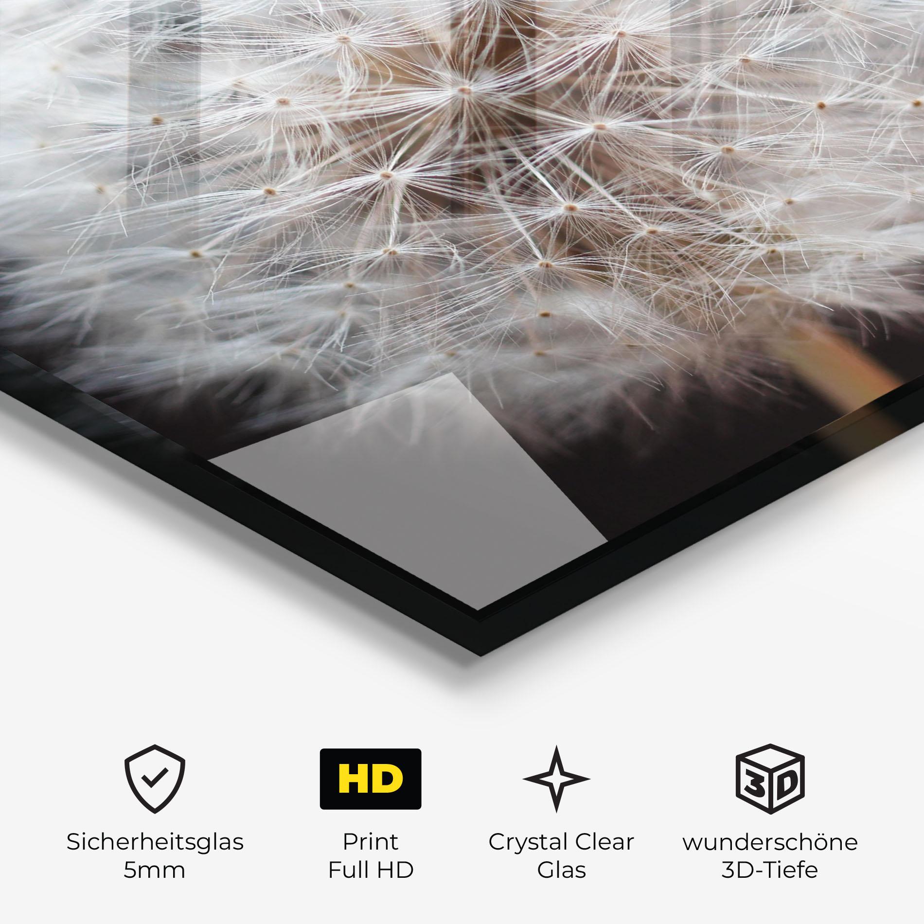 Glasbild Wild Dandelion Closeup mockup 3