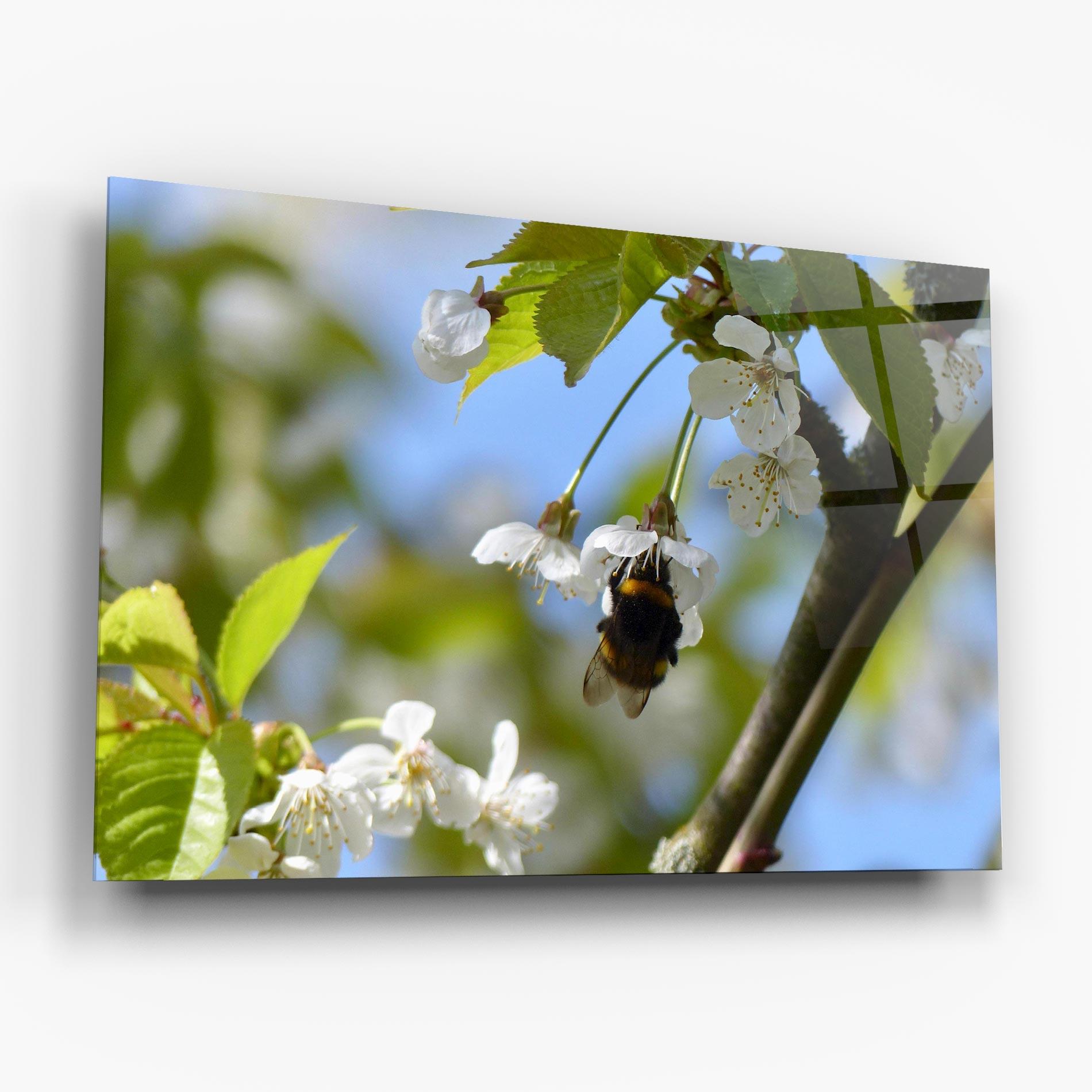 Glasbild Bee Wild Tree mockup 6