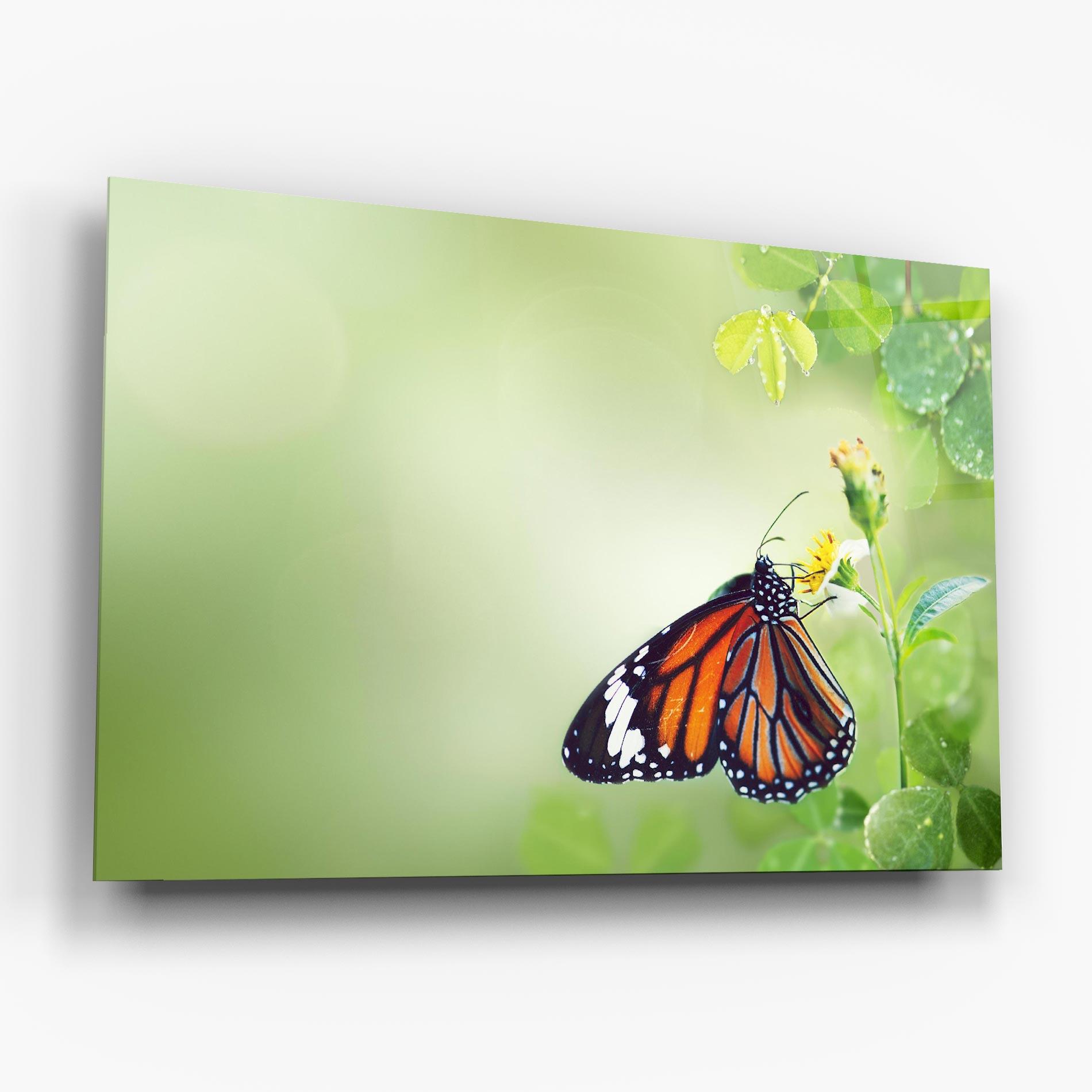 Glasbild Butterfly Wild Plant mockup 6