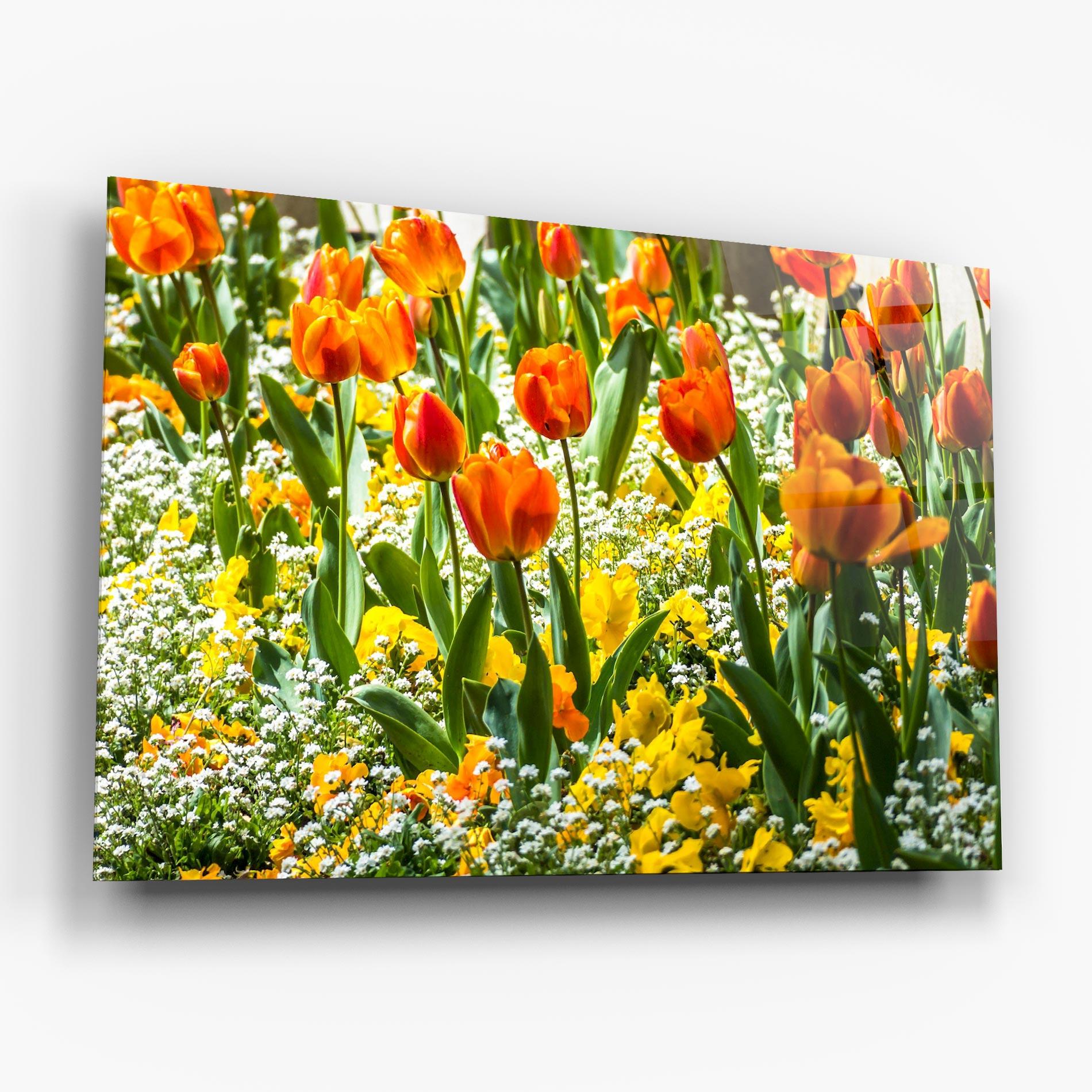 Glasbild Colorful Tulips Garden mockup 6