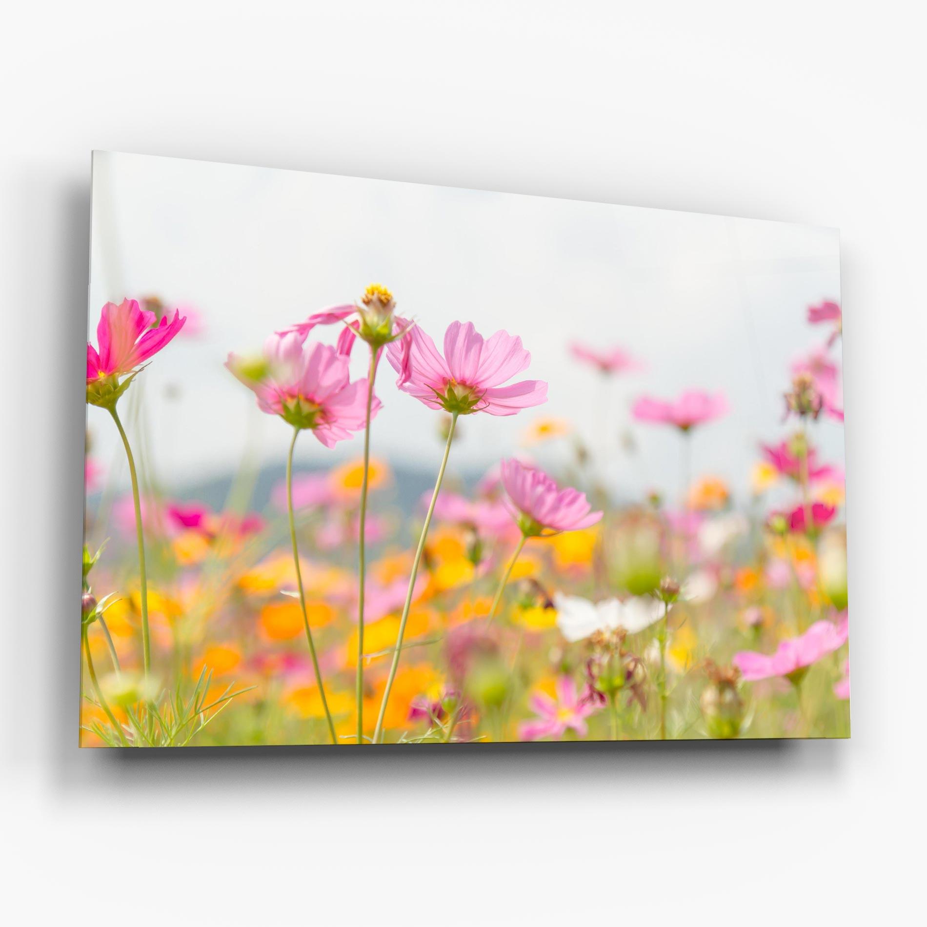 Glasbild Cosmos Beauty Flowers mockup 6