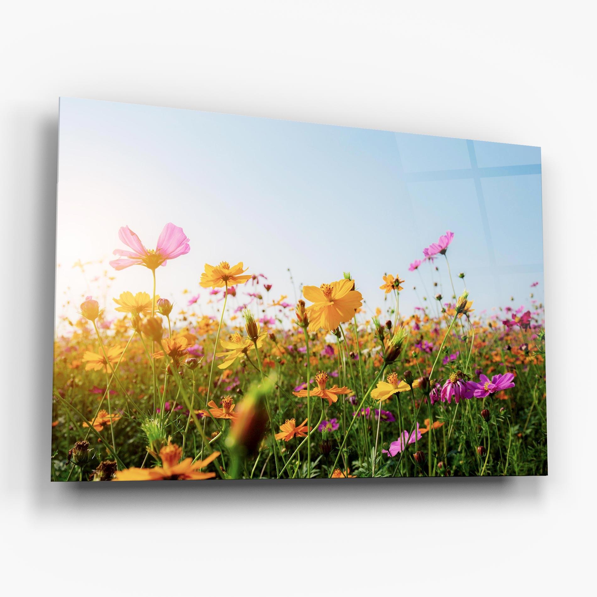 Glasbild Cosmos Field Sunset mockup 6