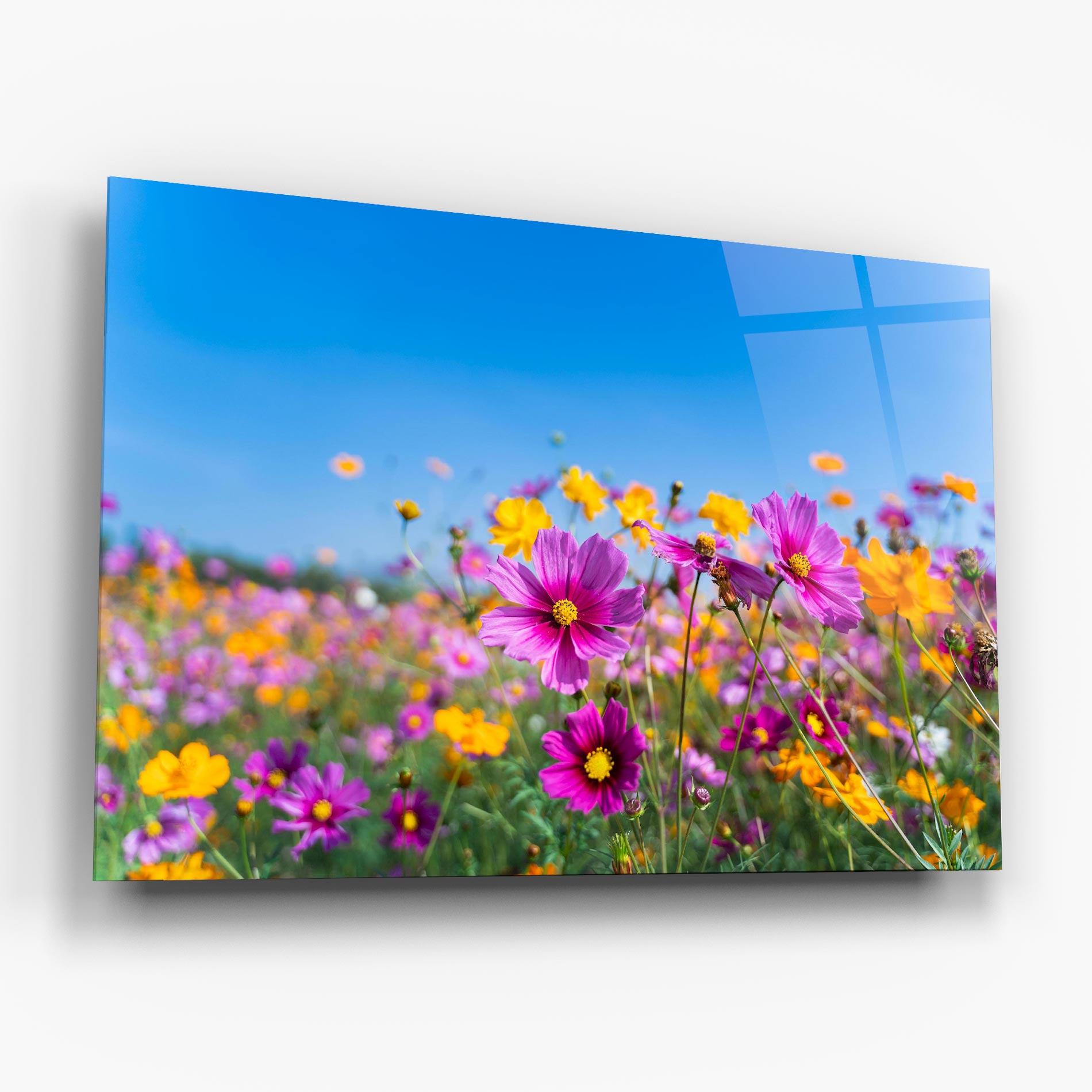 Glasbild Cosmos Flowers Grassland mockup 6