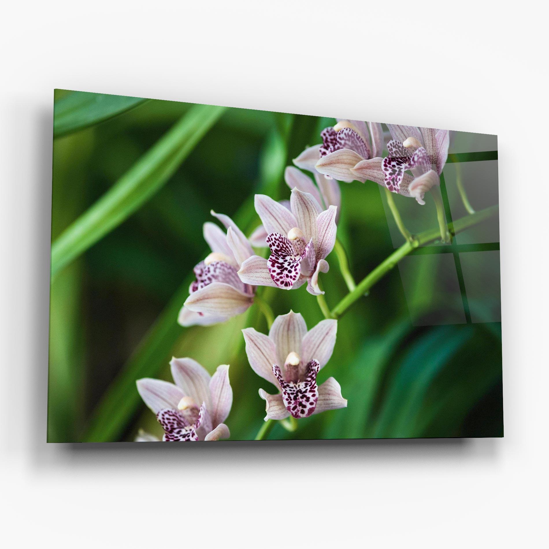 Glasbild Cymbidium Orchid mockup 6
