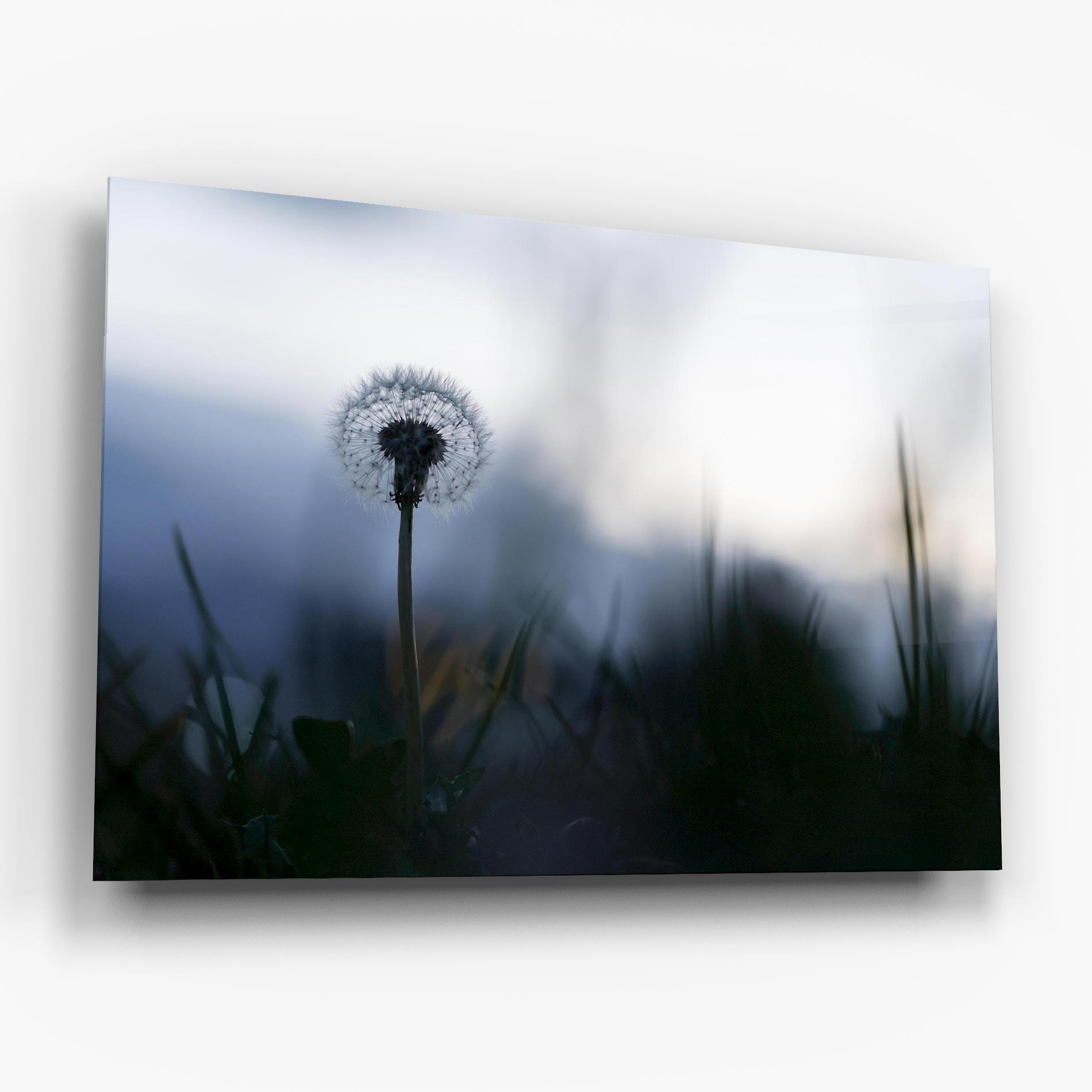 Glasbild Dandelion Wild View mockup 6