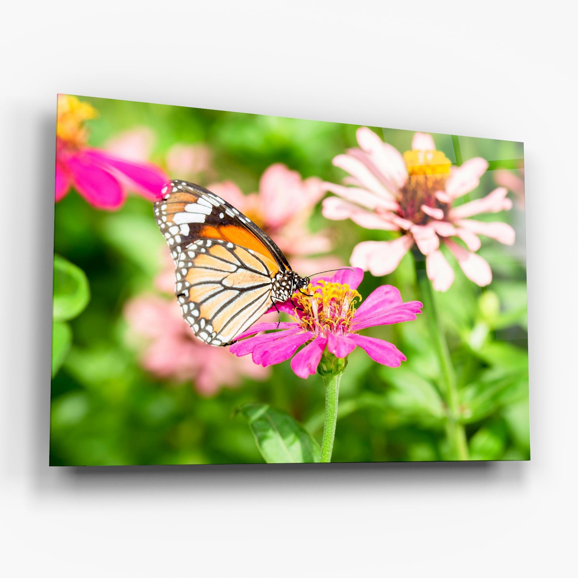 Glasbild Daylight Butterfly mockup 6