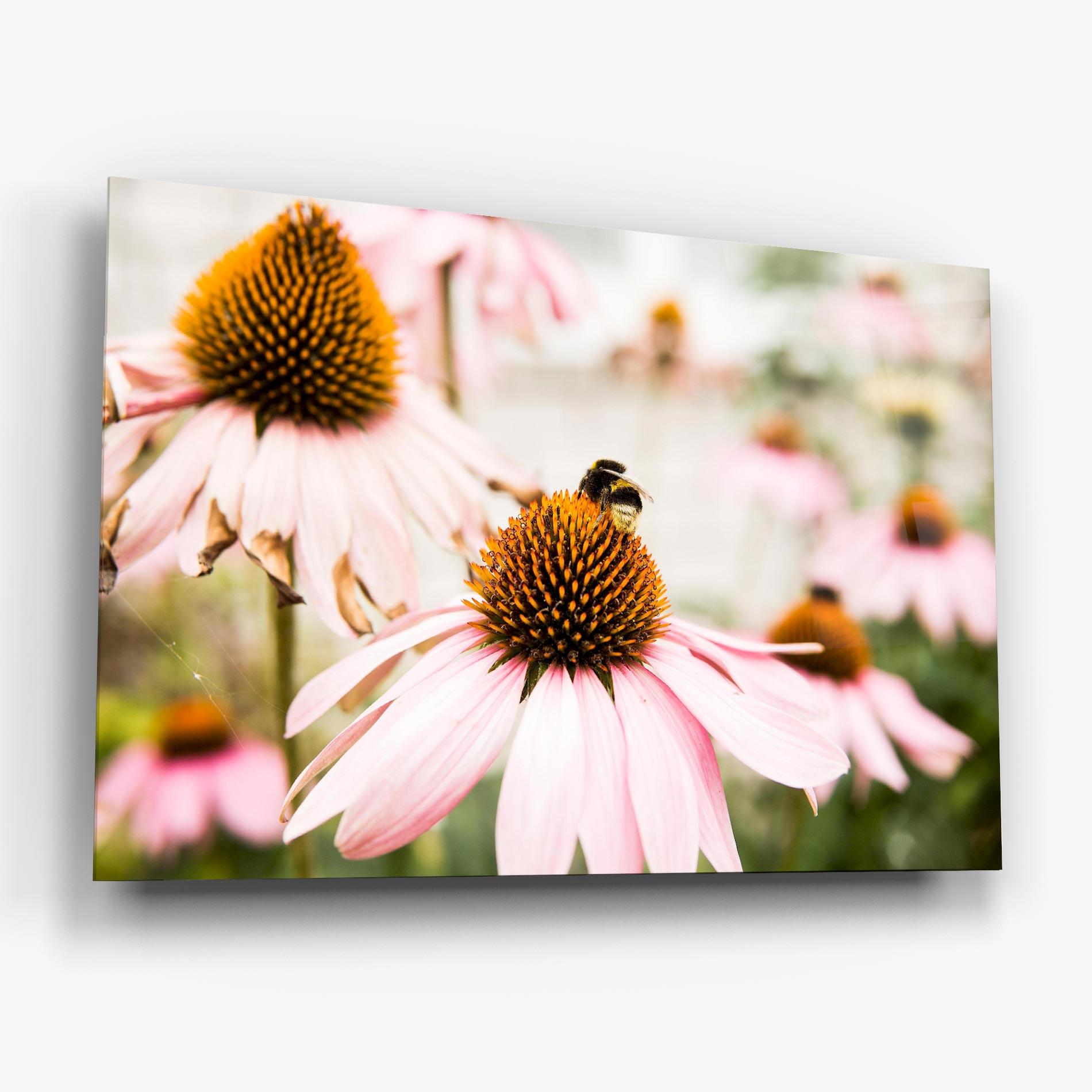 Glasbild Daylight Flower mockup 6