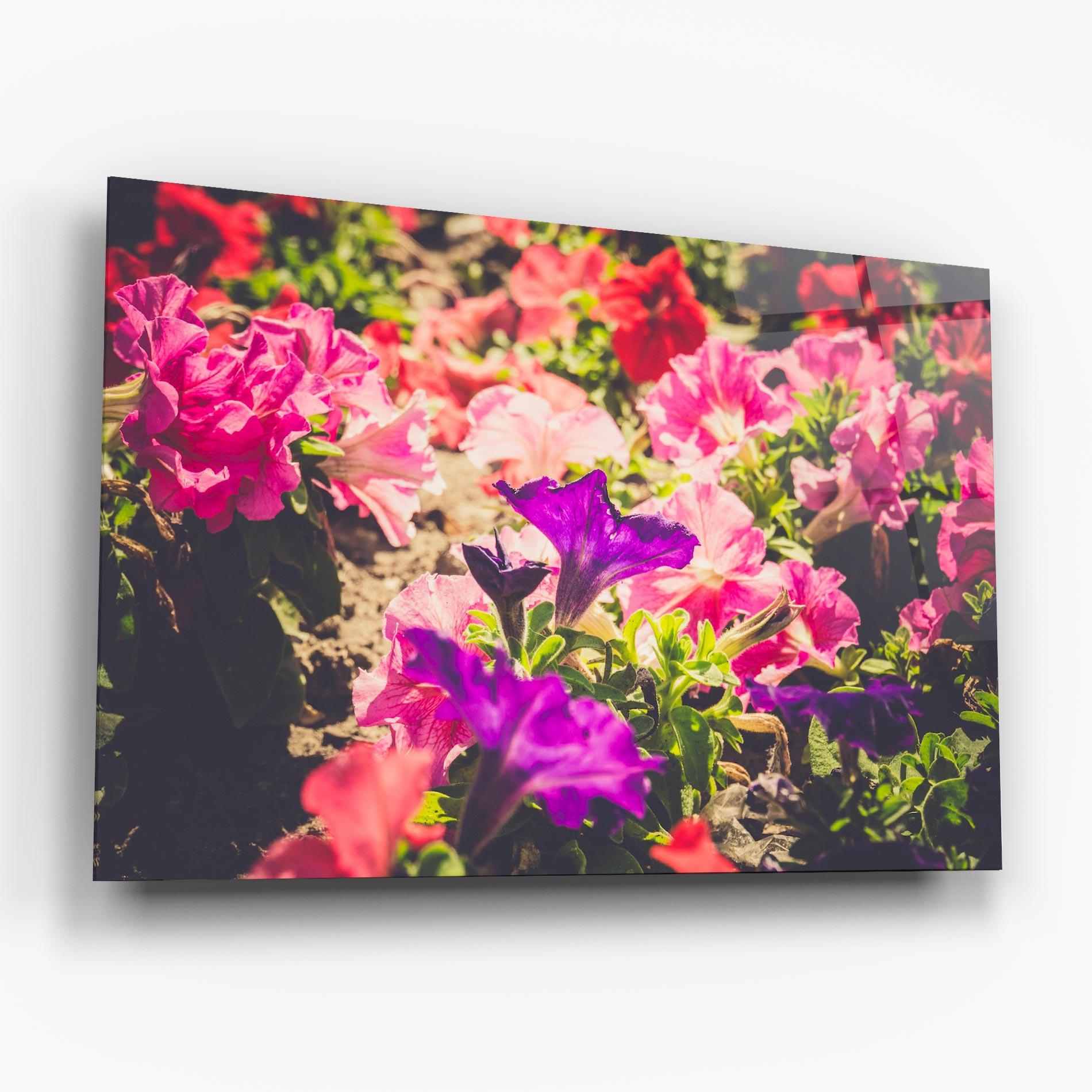 Glasbild Daylight Purple Flower mockup 6