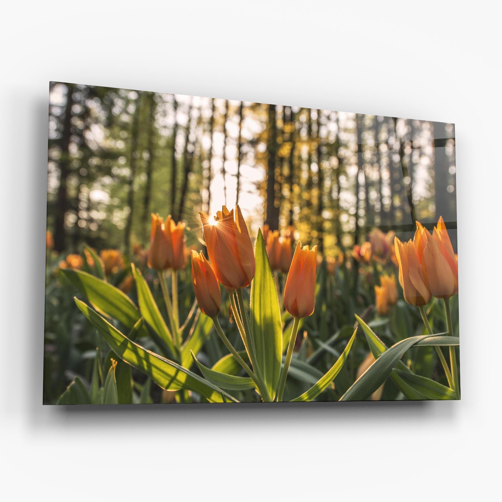 Glasbild Forest Tulips mockup 6