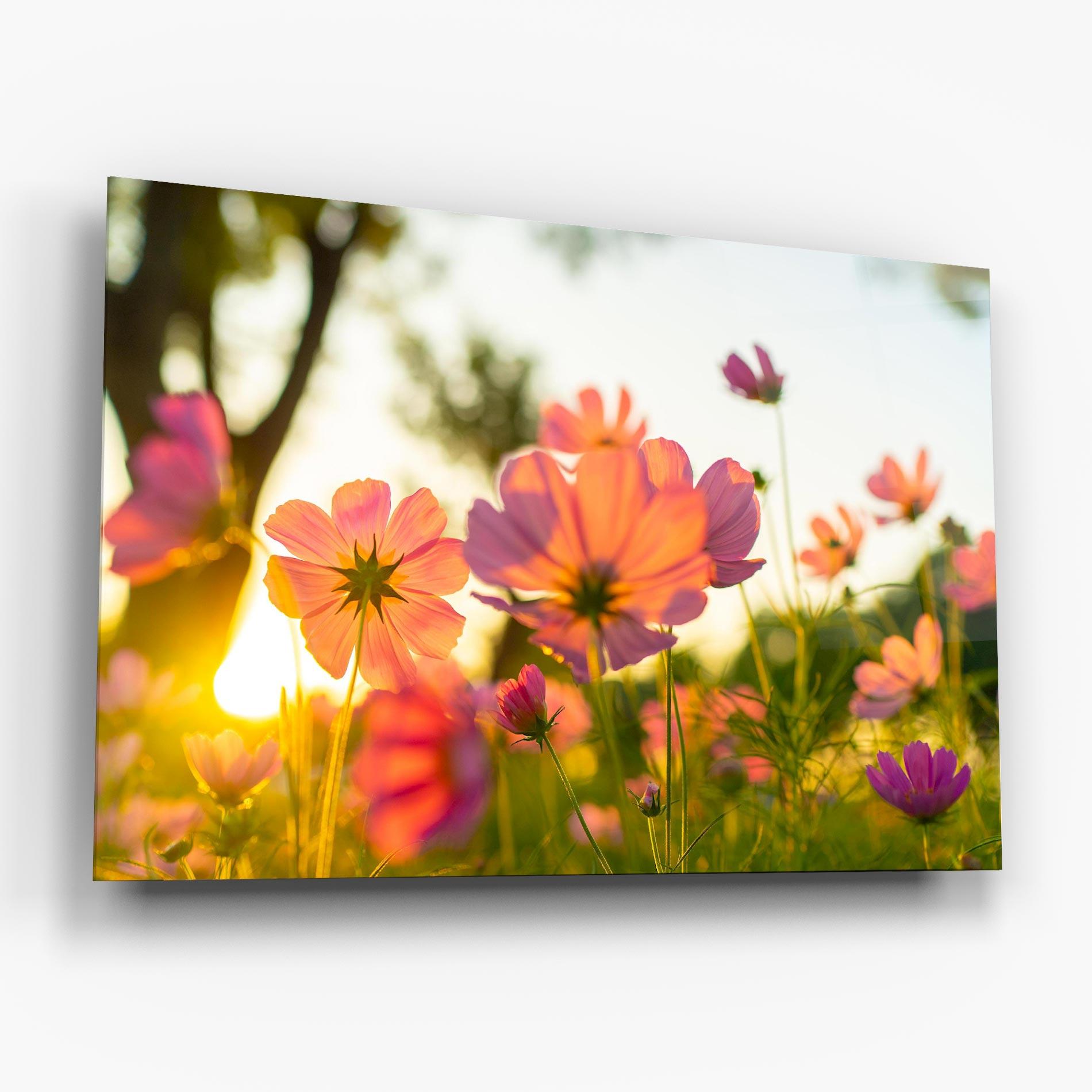 Glasbild Sunset Blooming Flower mockup 6
