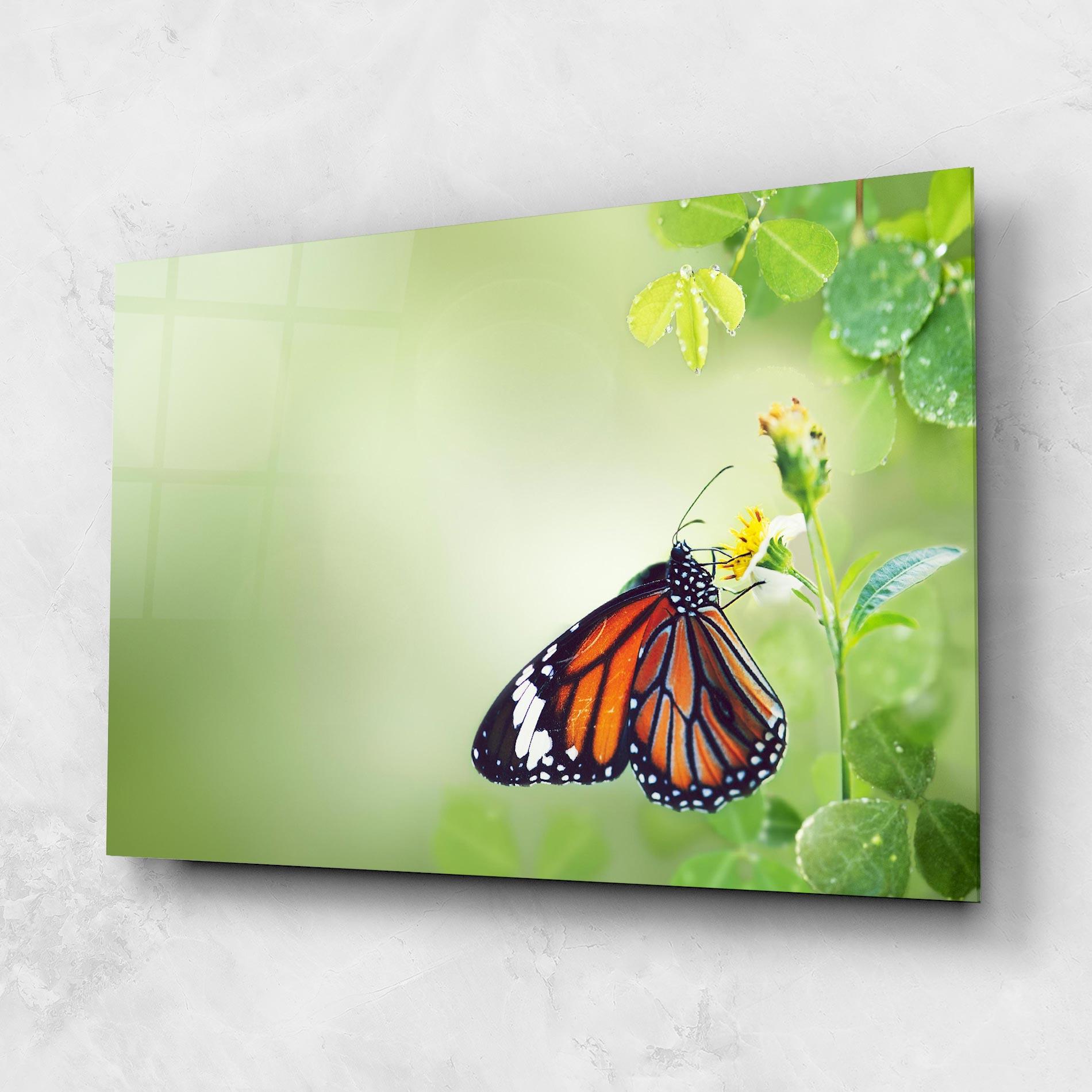 Glasbild Butterfly Wild Plant mockup 1