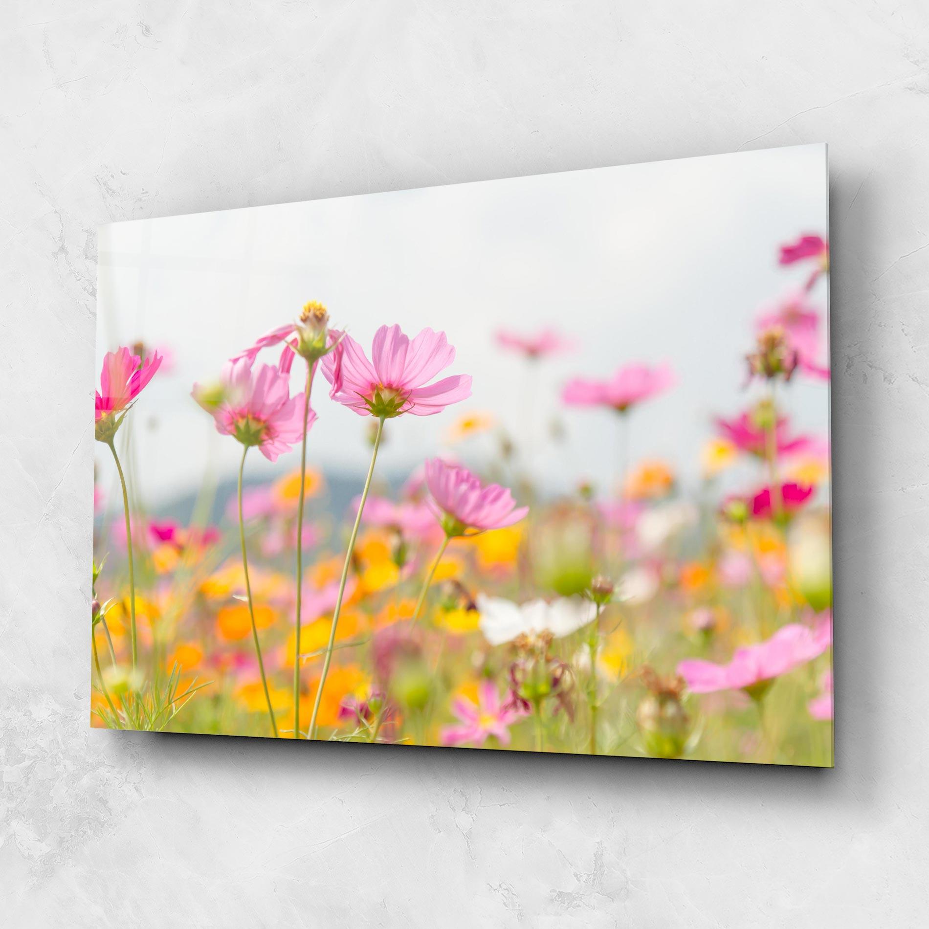 Glasbild Cosmos Beauty Flowers mockup 1