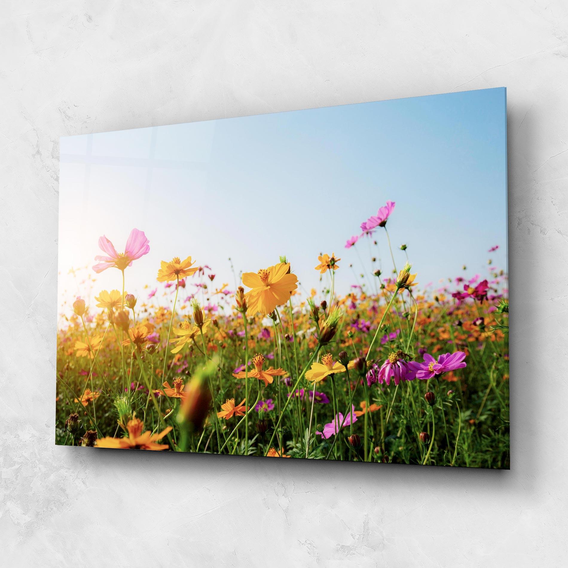 Glasbild Cosmos Field Sunset mockup 1