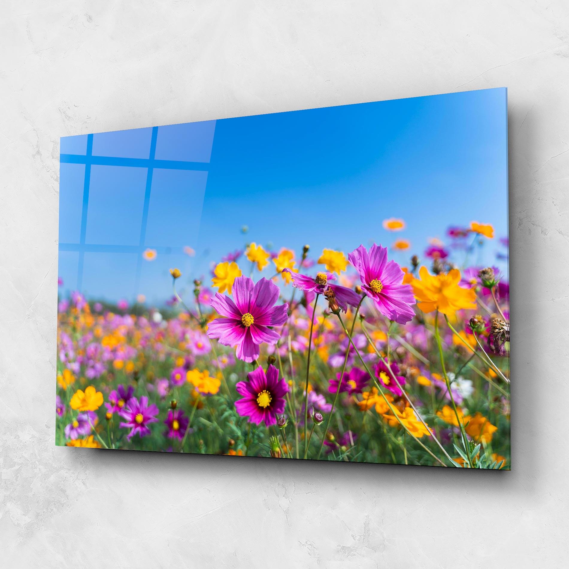 Glasbild Cosmos Flowers Grassland mockup 1
