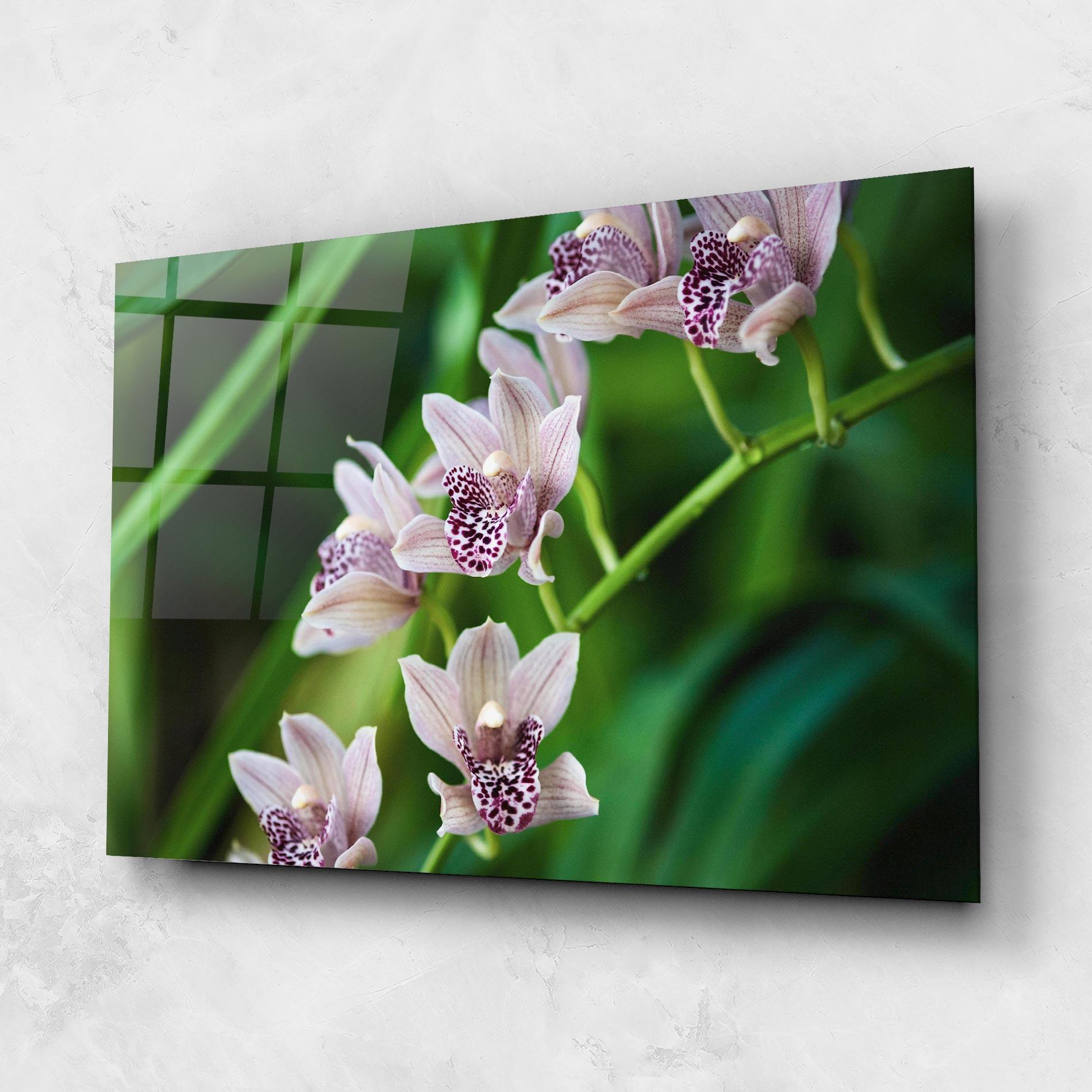 Glasbild Cymbidium Orchid mockup 1