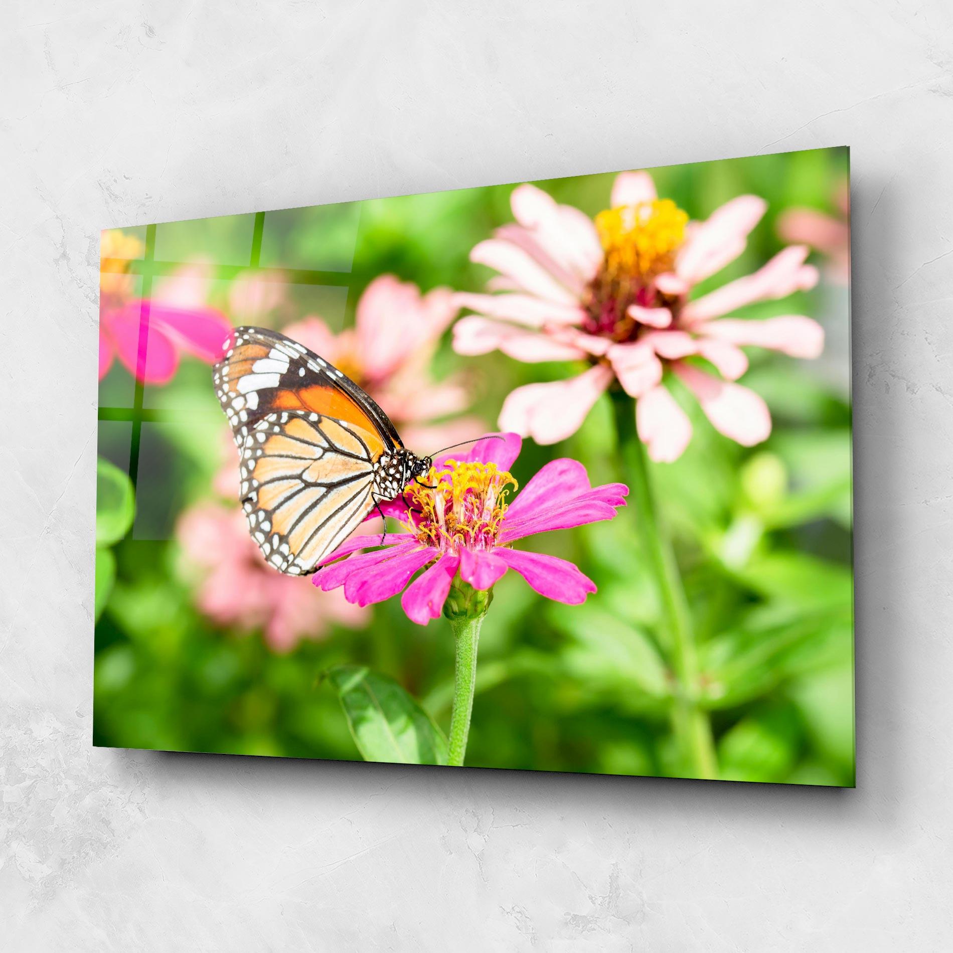 Glasbild Daylight Butterfly mockup 1