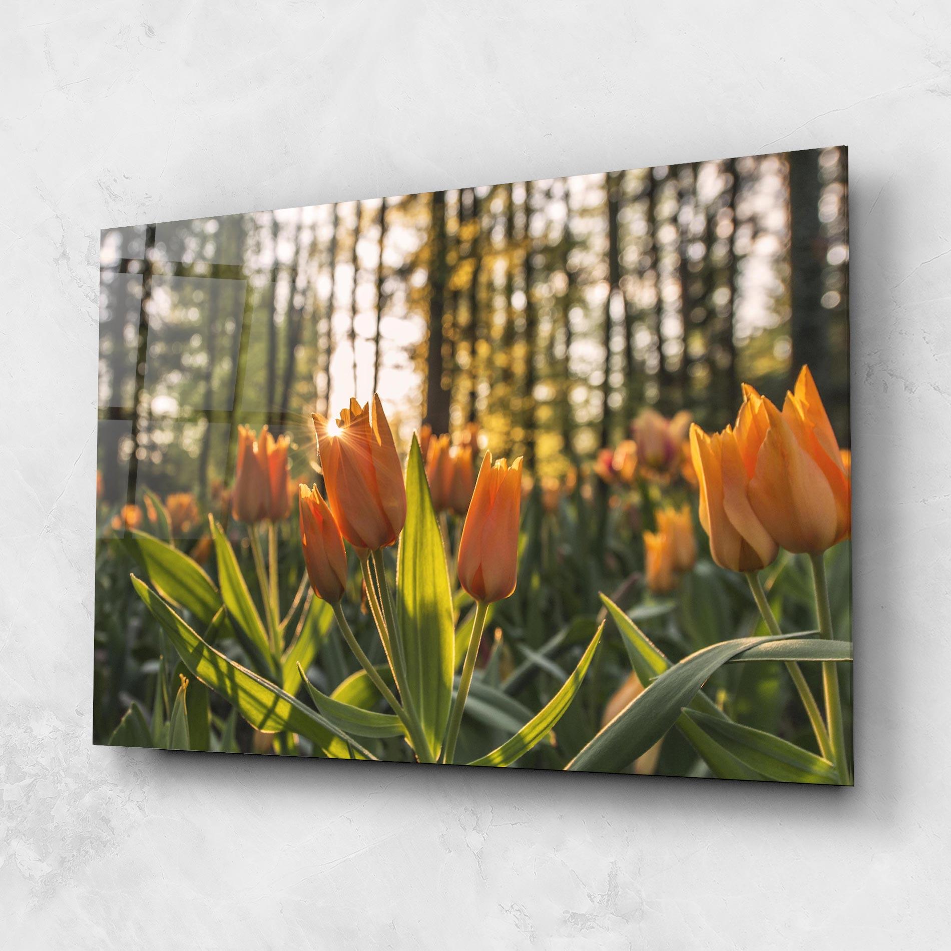 Glasbild Forest Tulips mockup 1