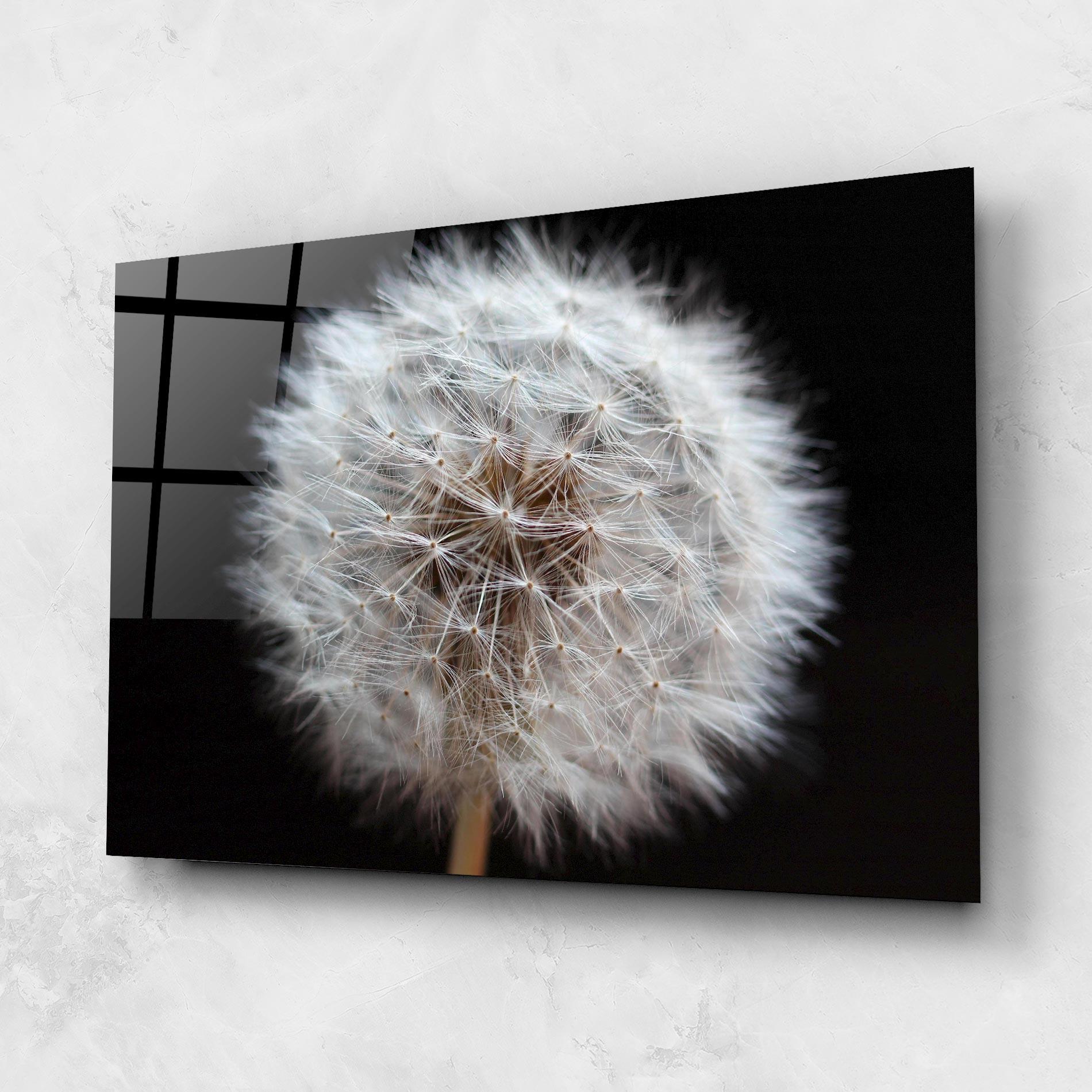 Glasbild Wild Dandelion Closeup mockup 1