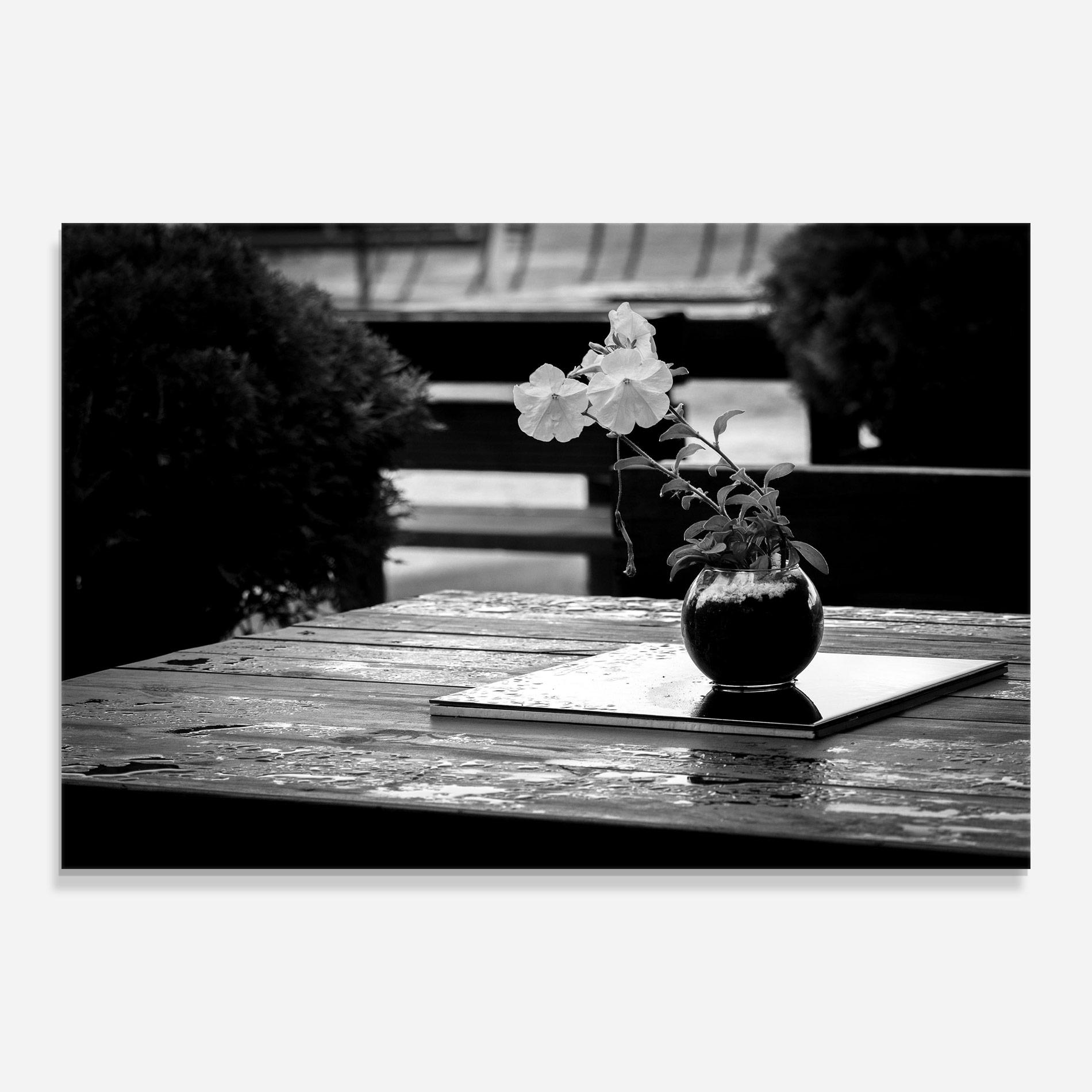 Glasbild Black Vase View mockup 0