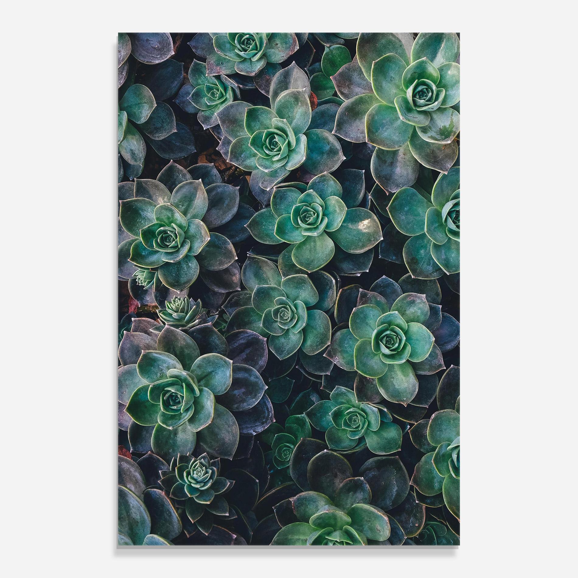 Glasbild Green Lilac Tree mockup 0