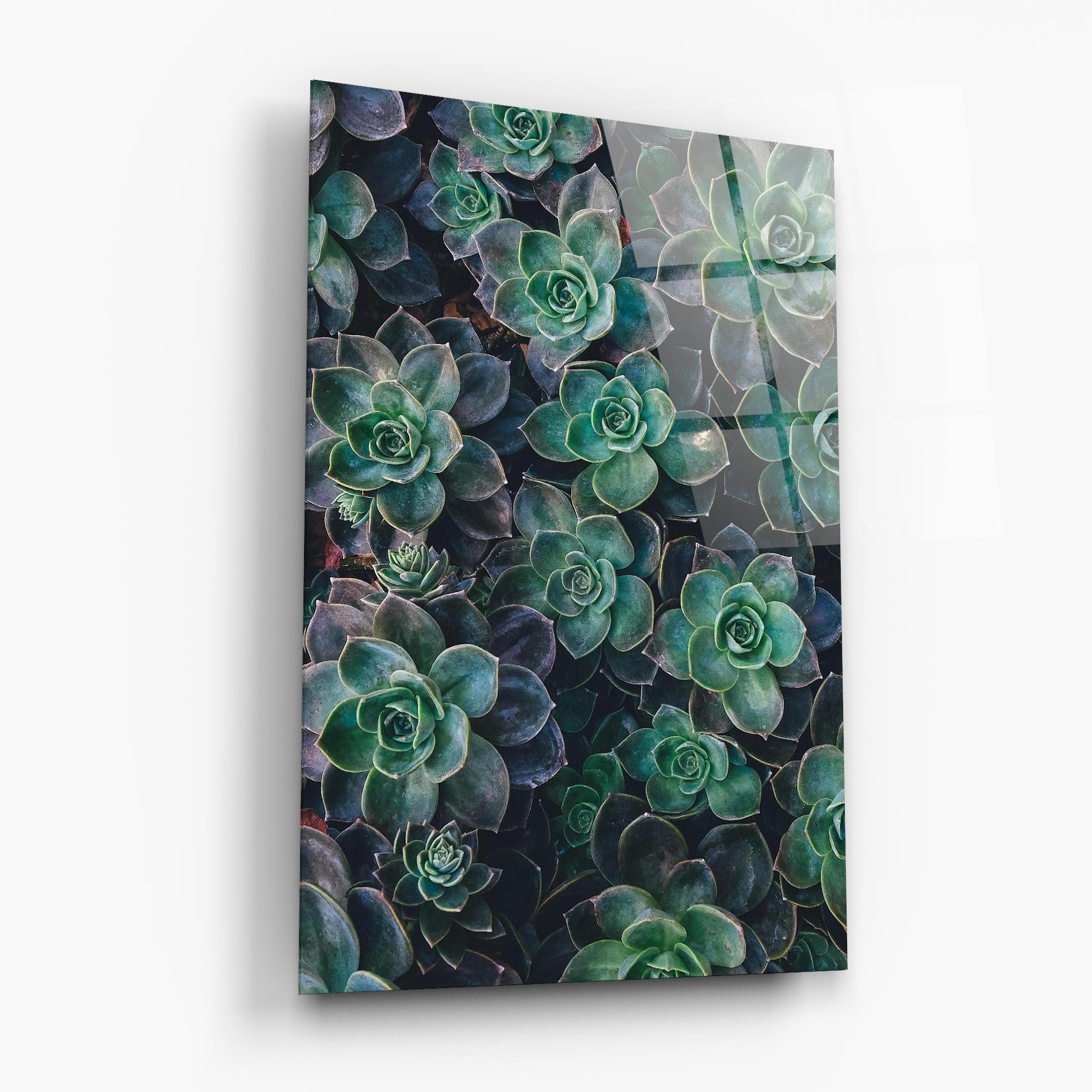 Green Lilac Tree mockup 6