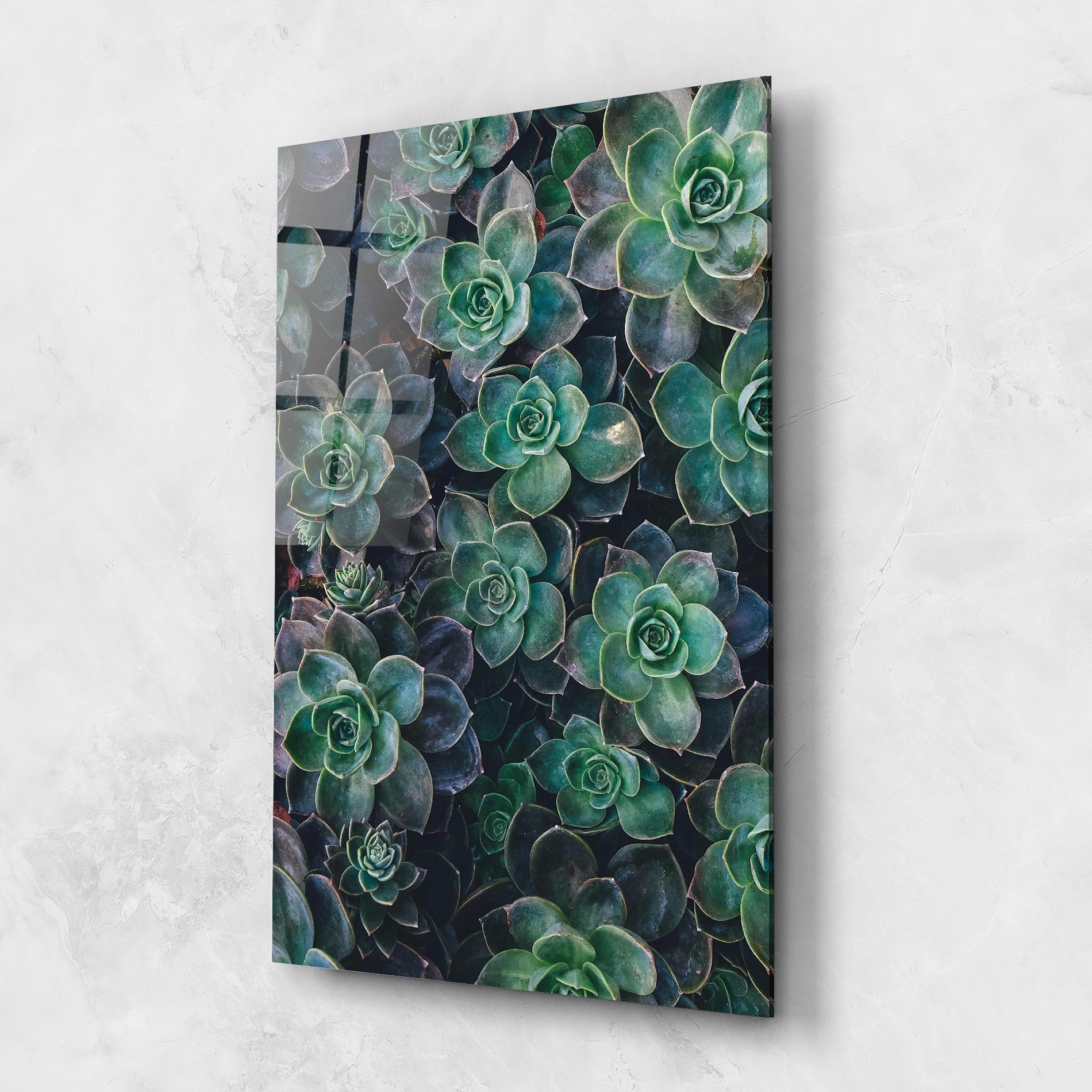 Green Lilac Tree mockup 1