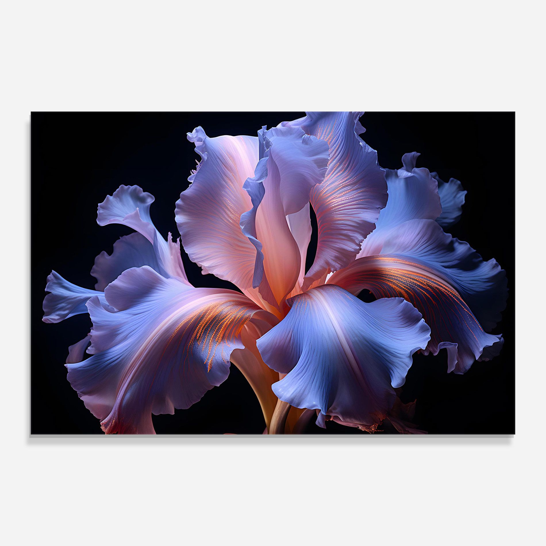 Elegant Iris On Black mockup 0